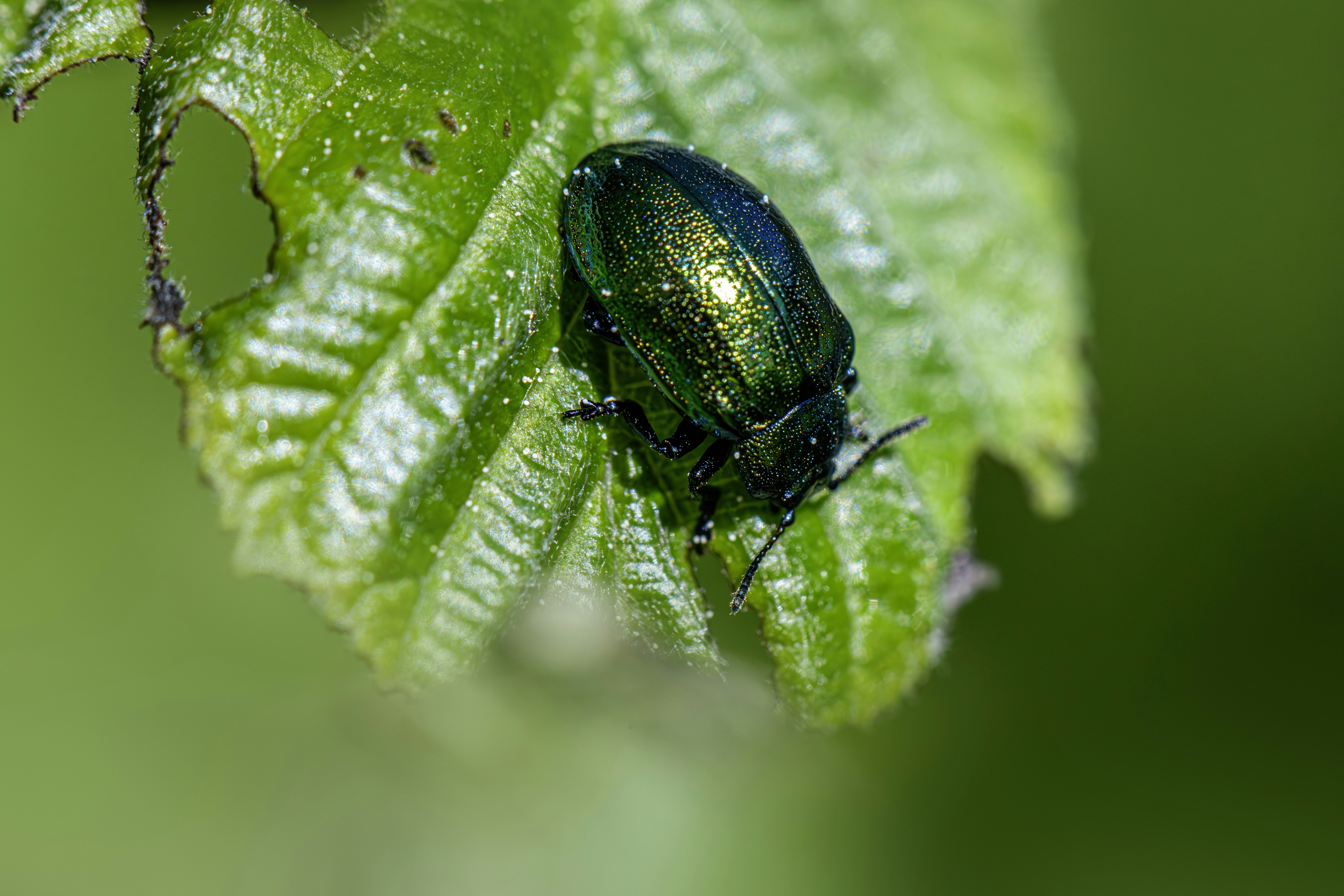 Photo by erik_karits