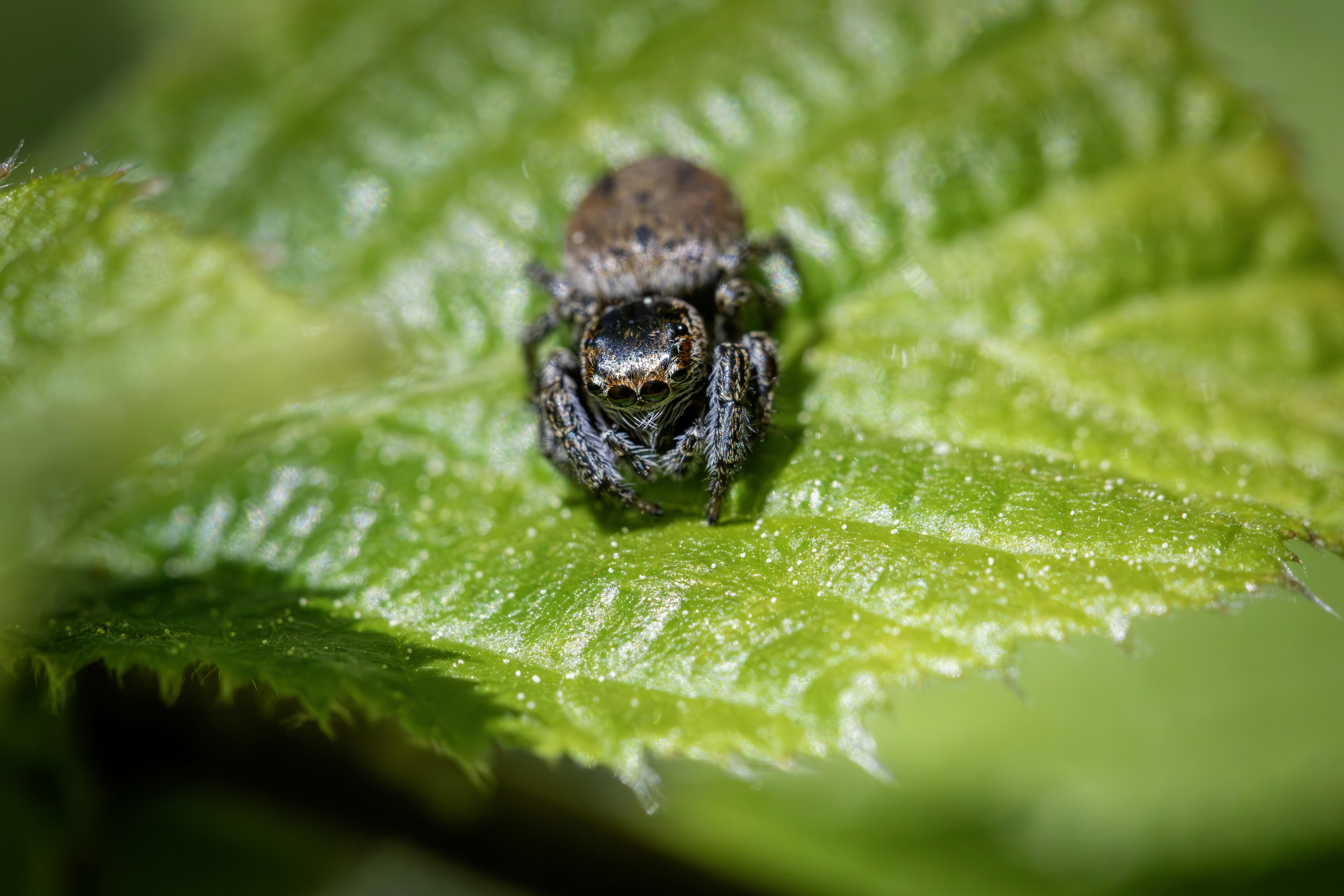 Photo by erik_karits