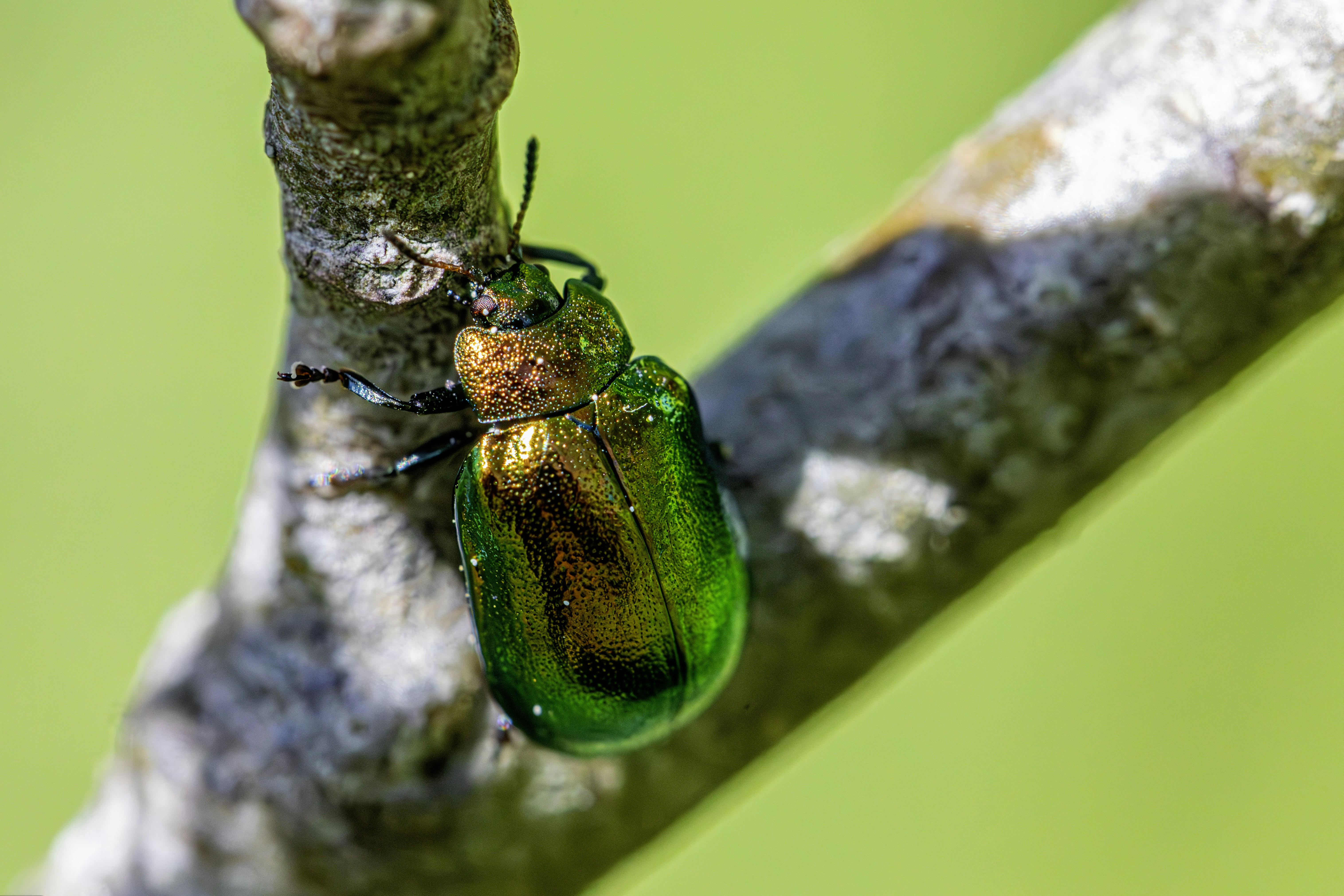 Photo by erik_karits