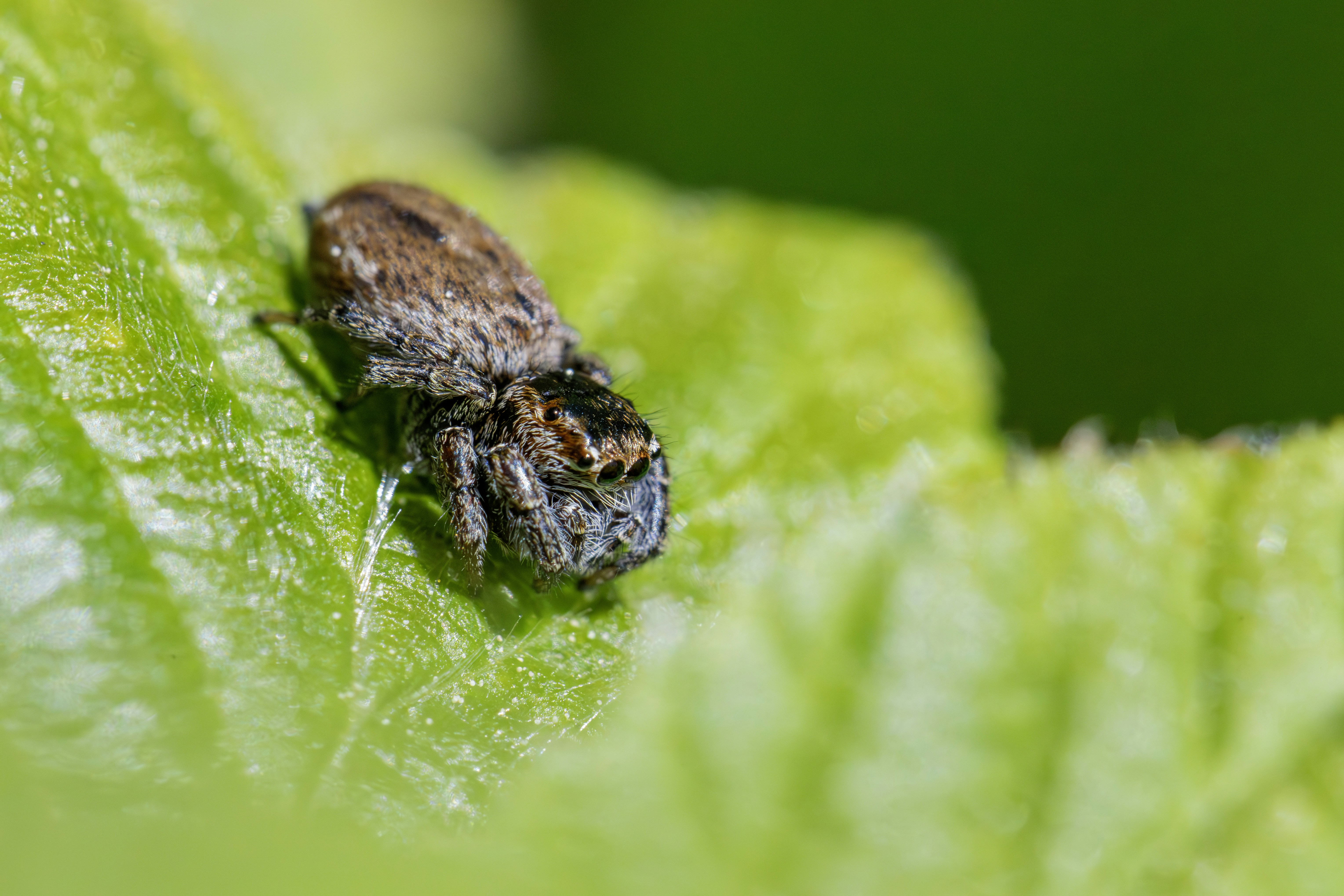 Photo by erik_karits