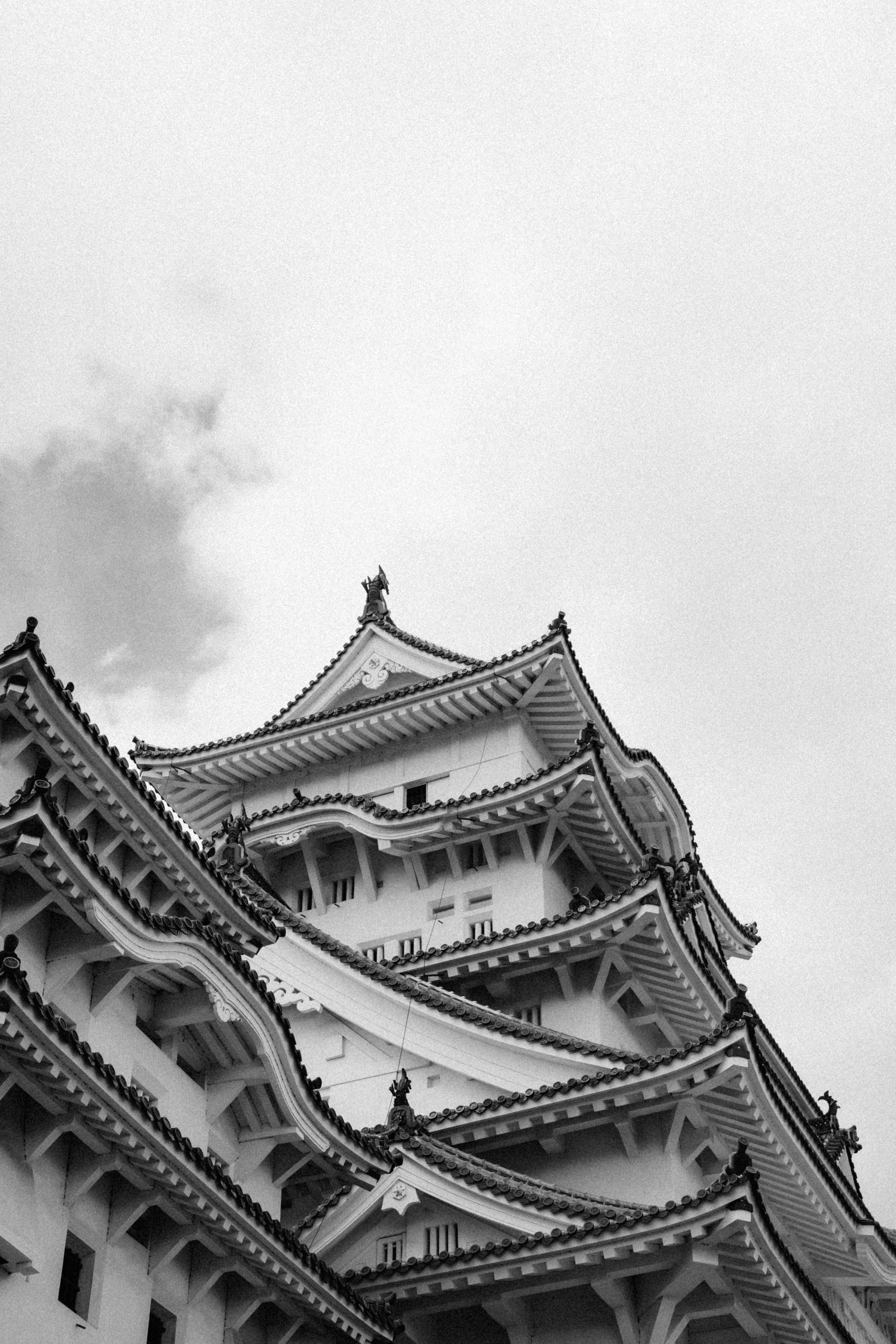 Photo by evanambrose