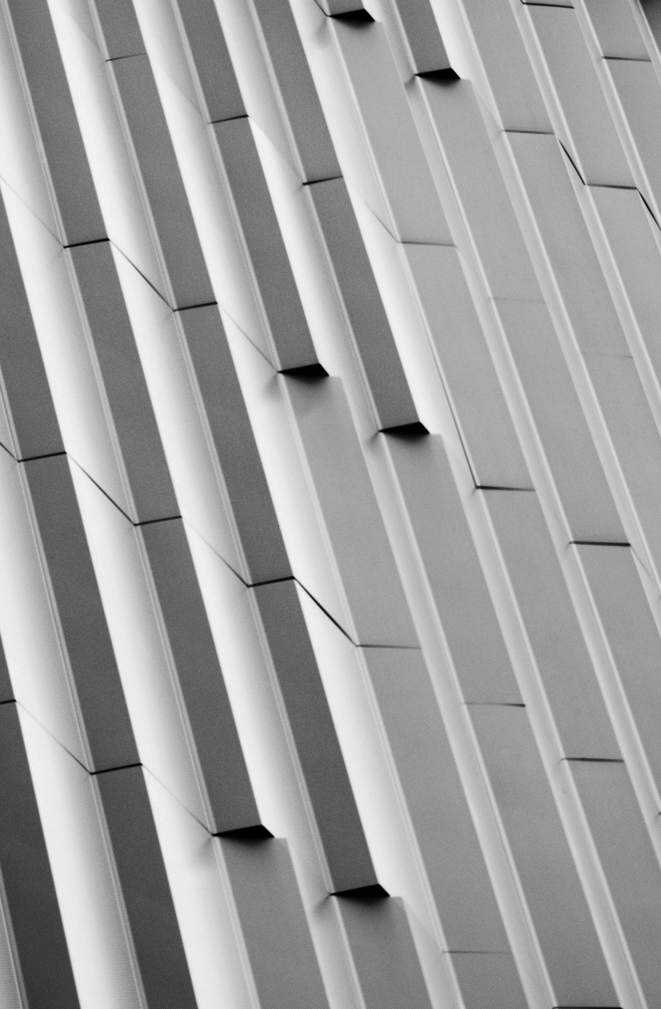 Photo by angelicateranp