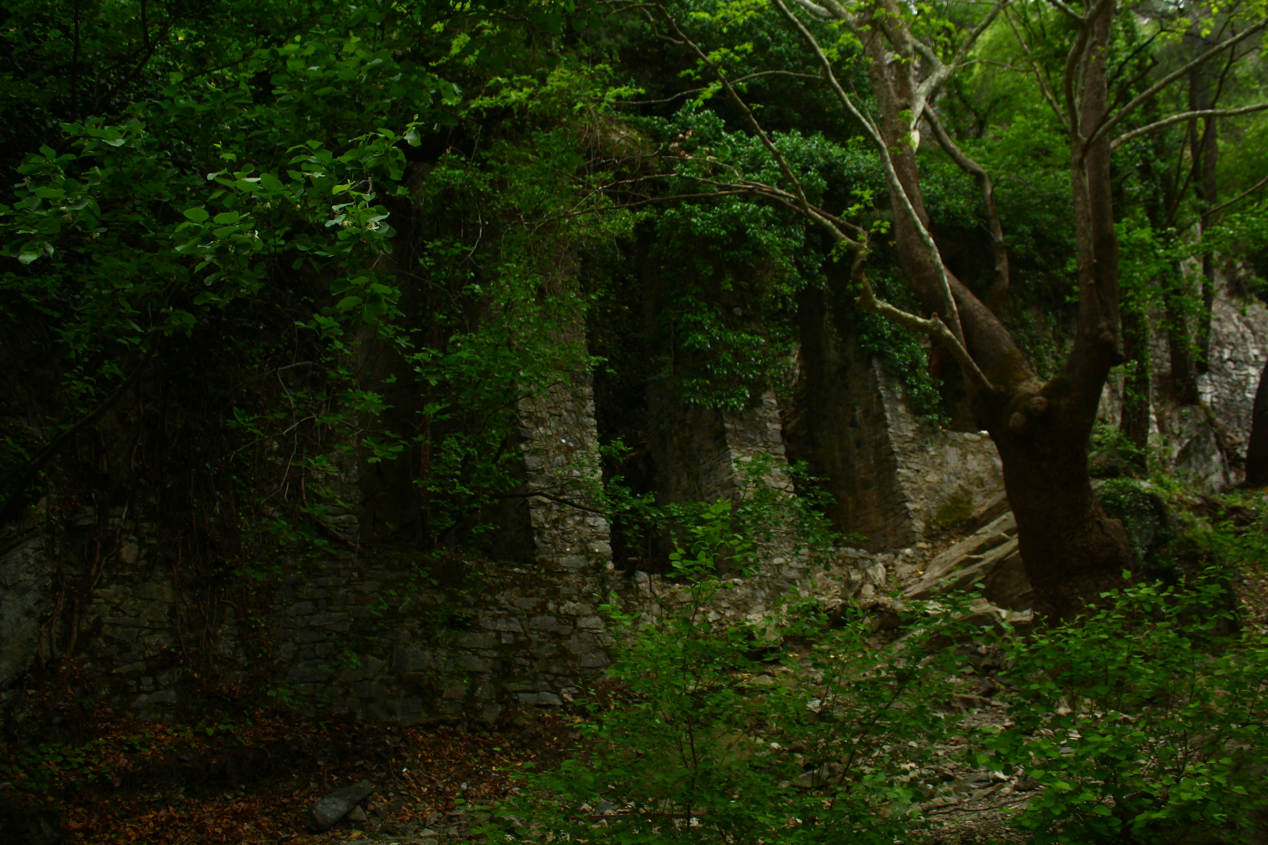 Modern Guardians of Ancient Wisdom (image credits: unsplash)