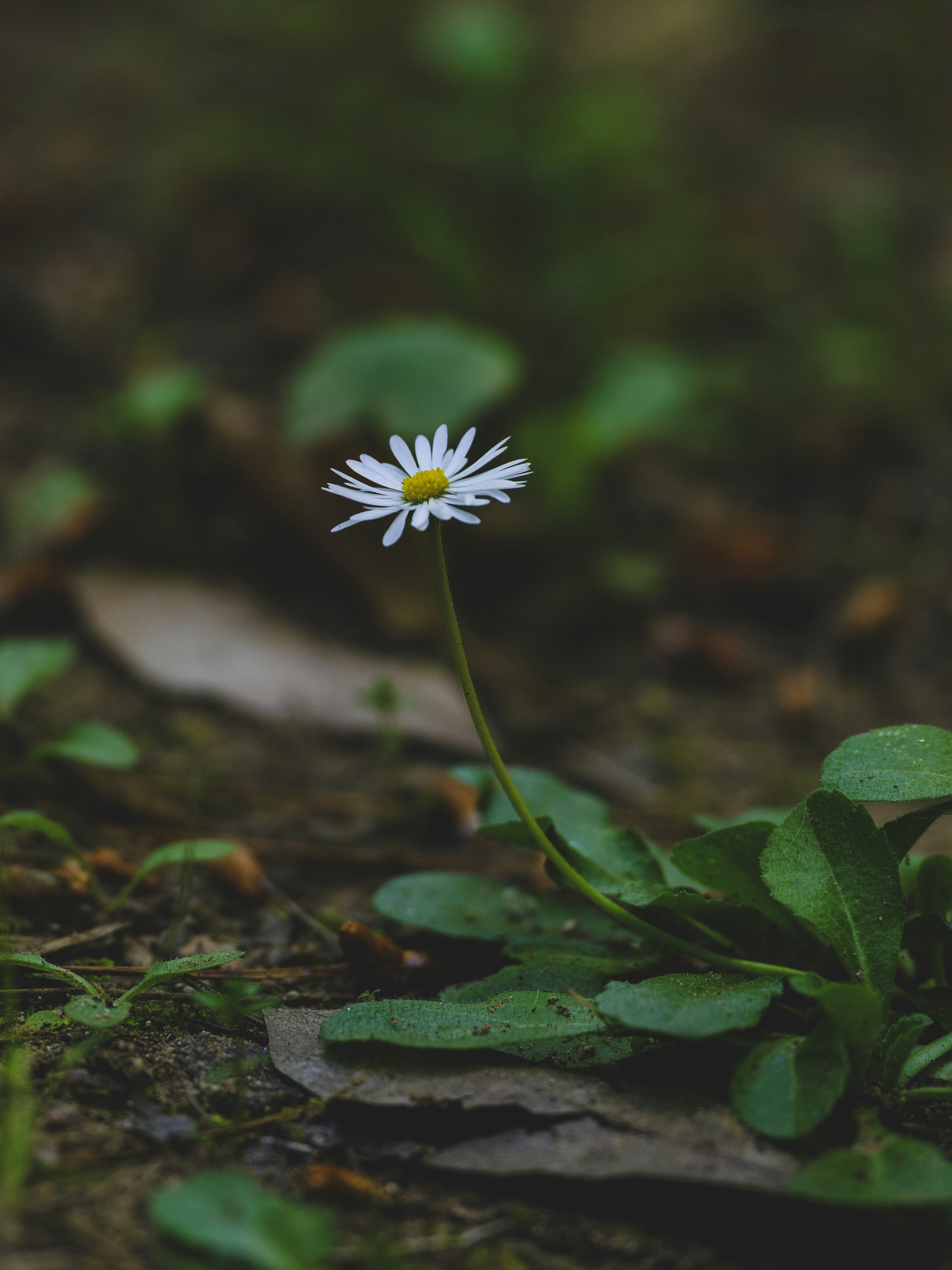 Photo by enginakyurt