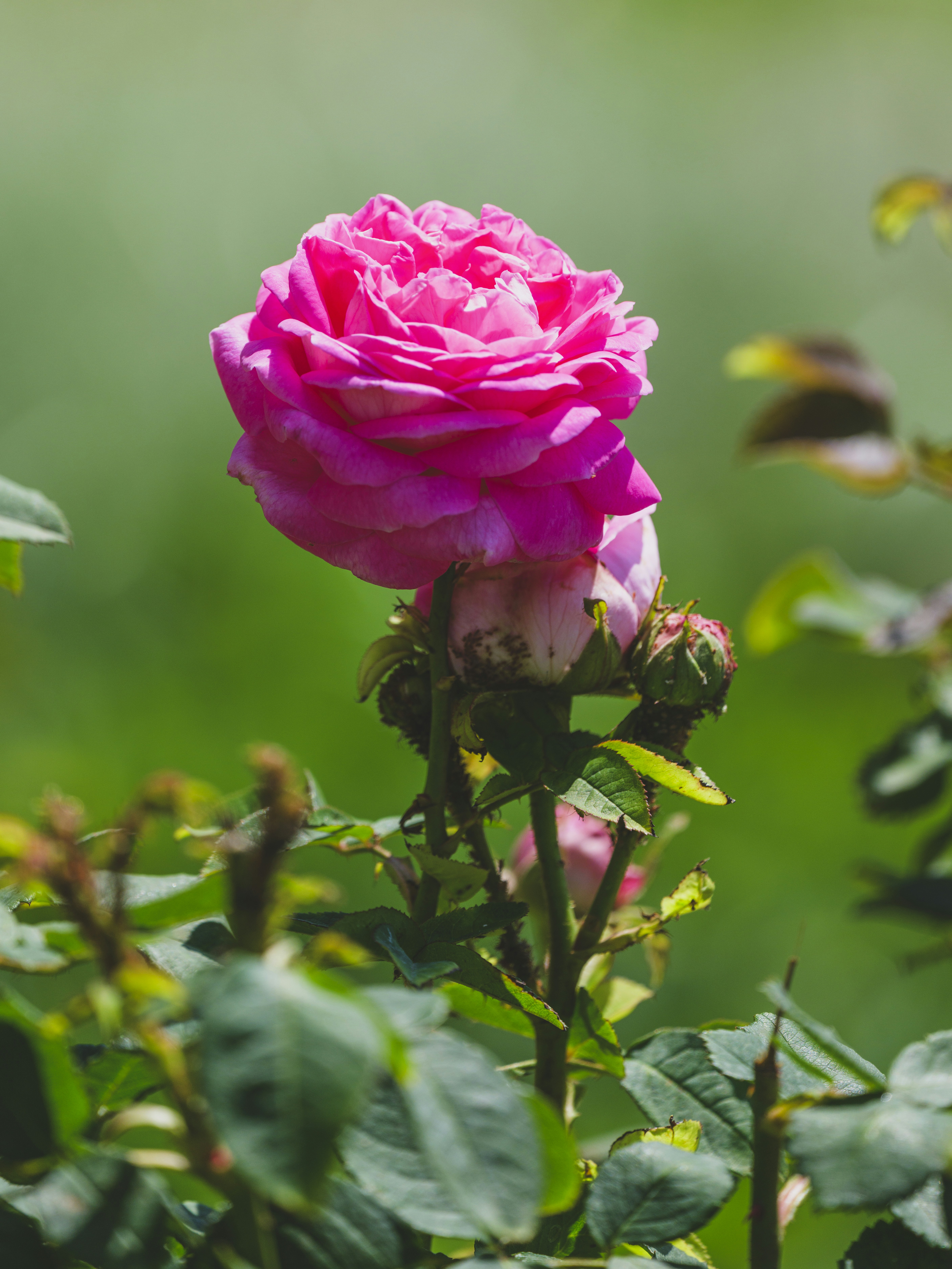 Photo by enginakyurt