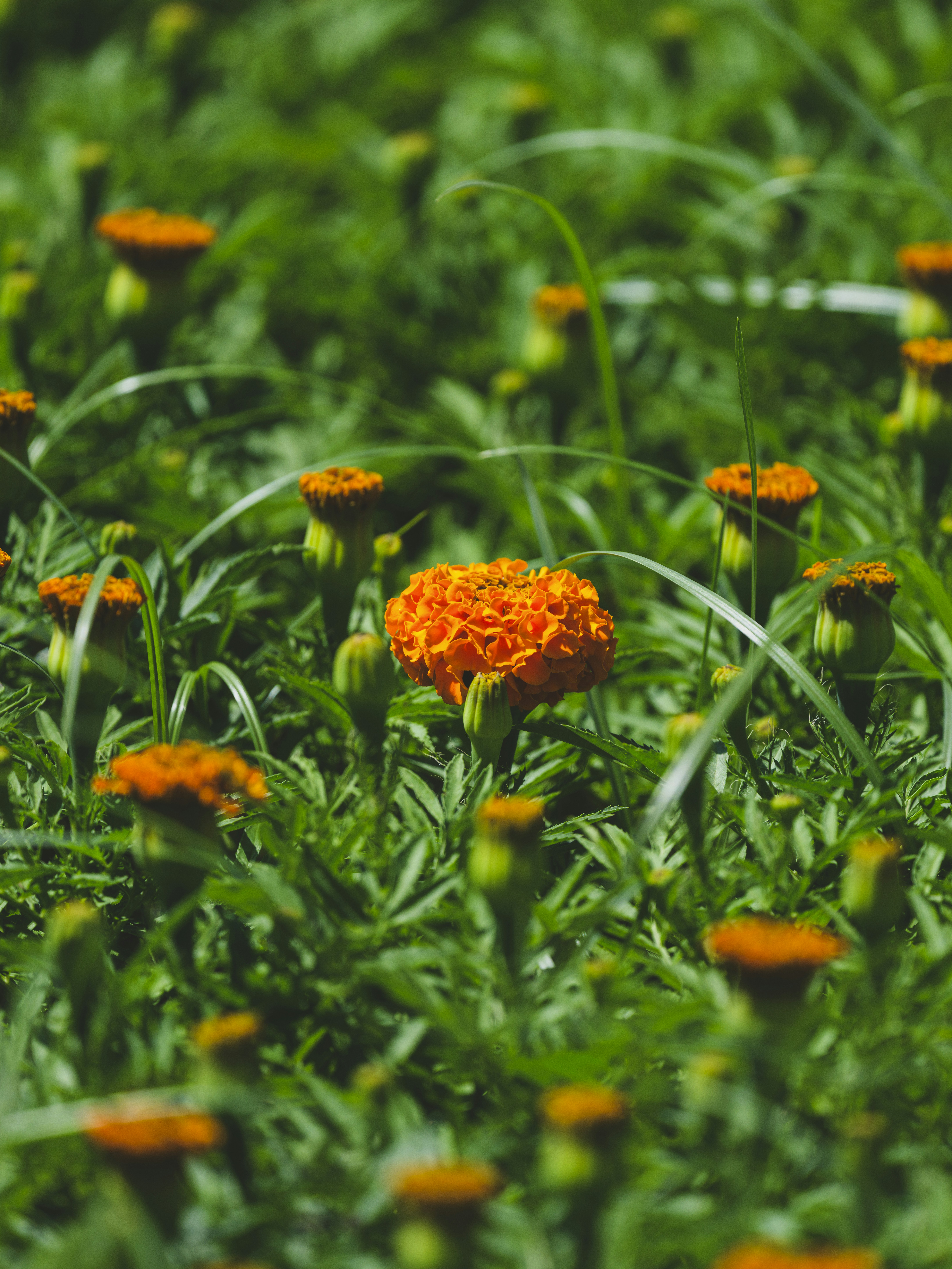 Photo by enginakyurt