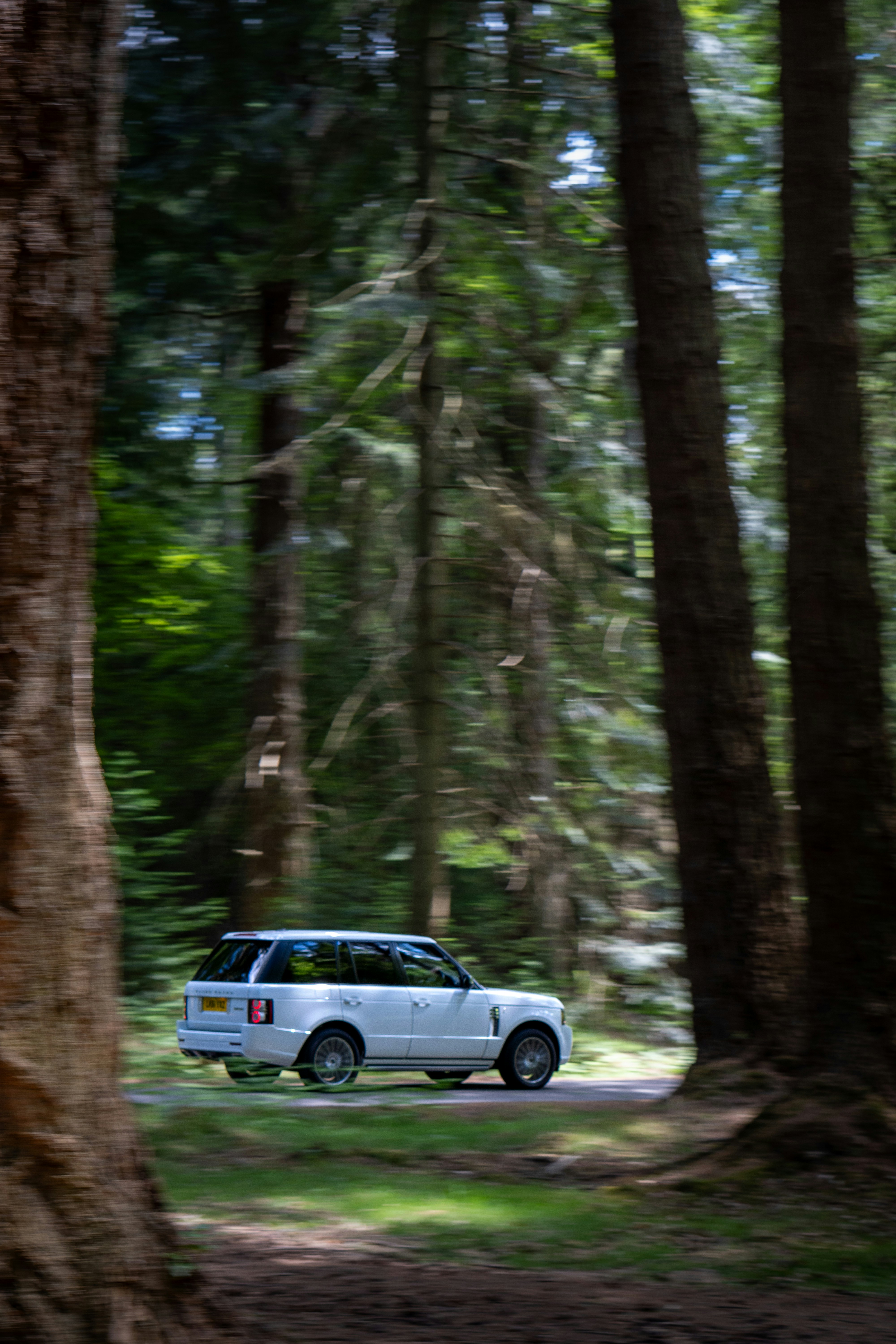 A white suv drives through a forest.