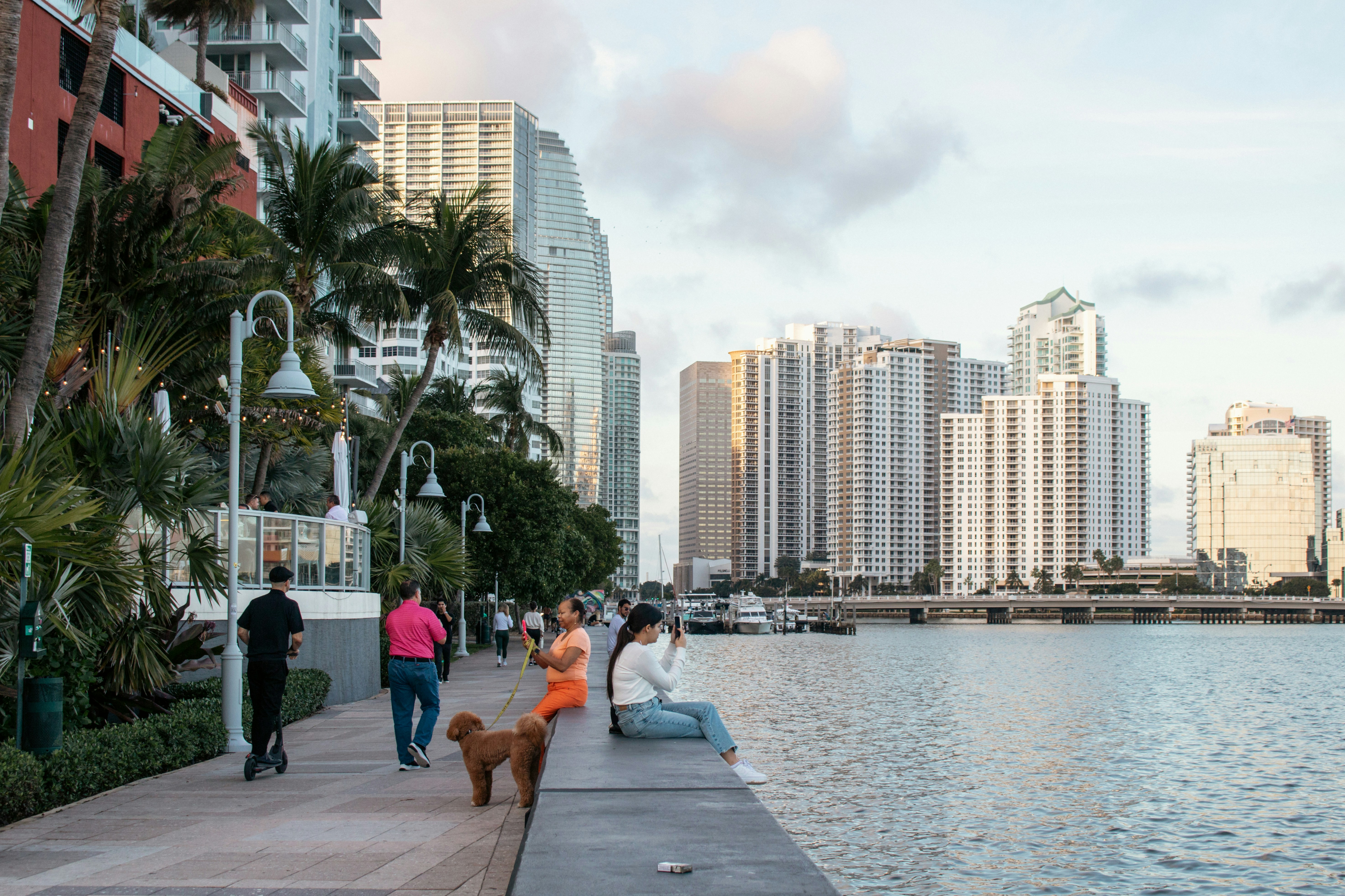 Miami skyline LinkedIn background