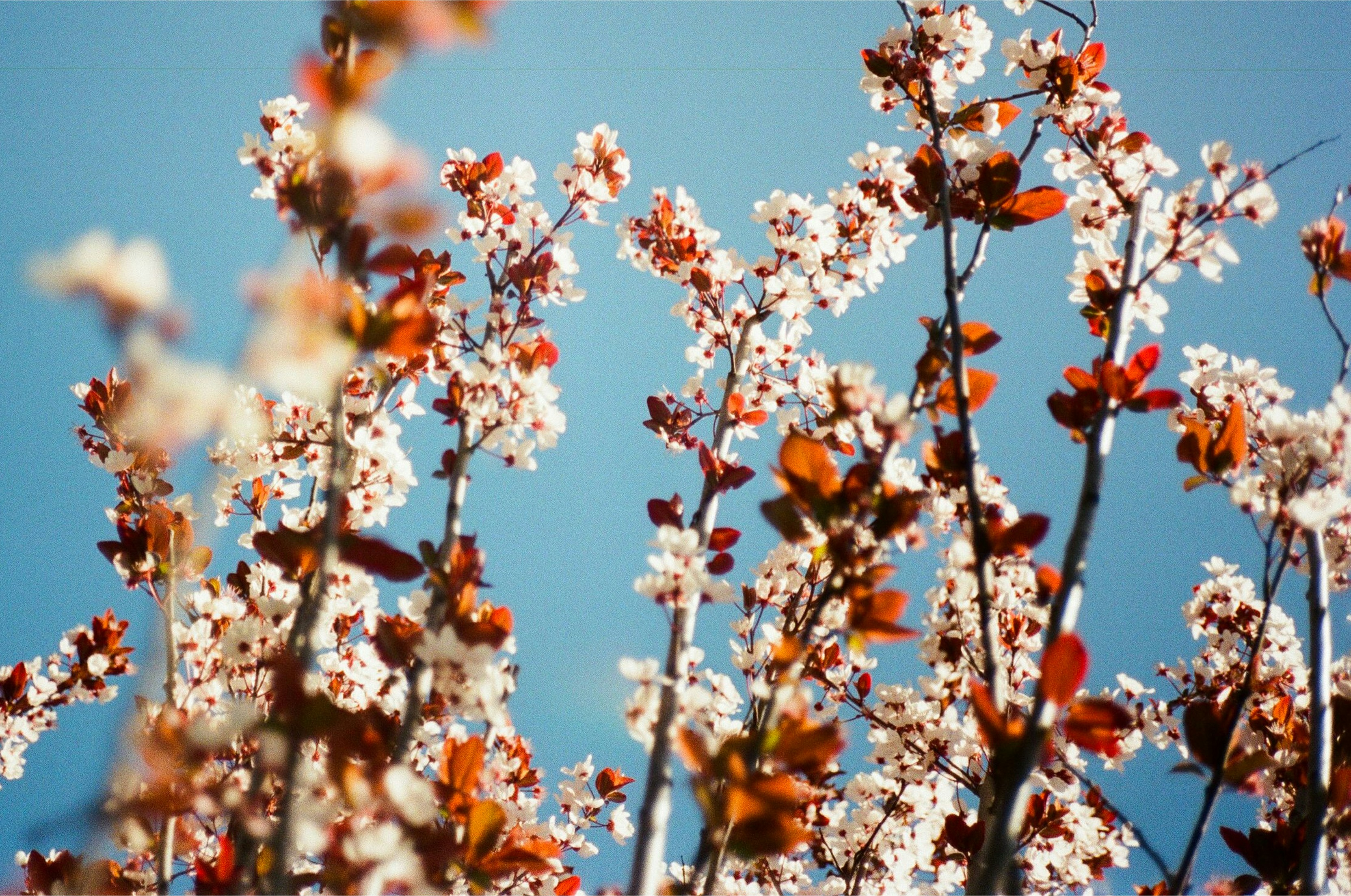 25 Unexpected Facts About Emergency Board Up Service