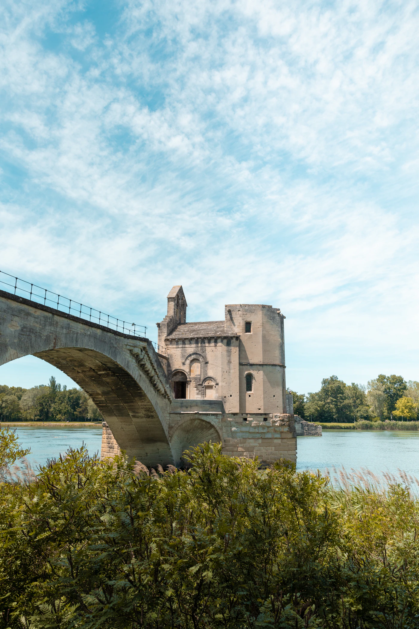 Pont d'Avignon and the Rhône River