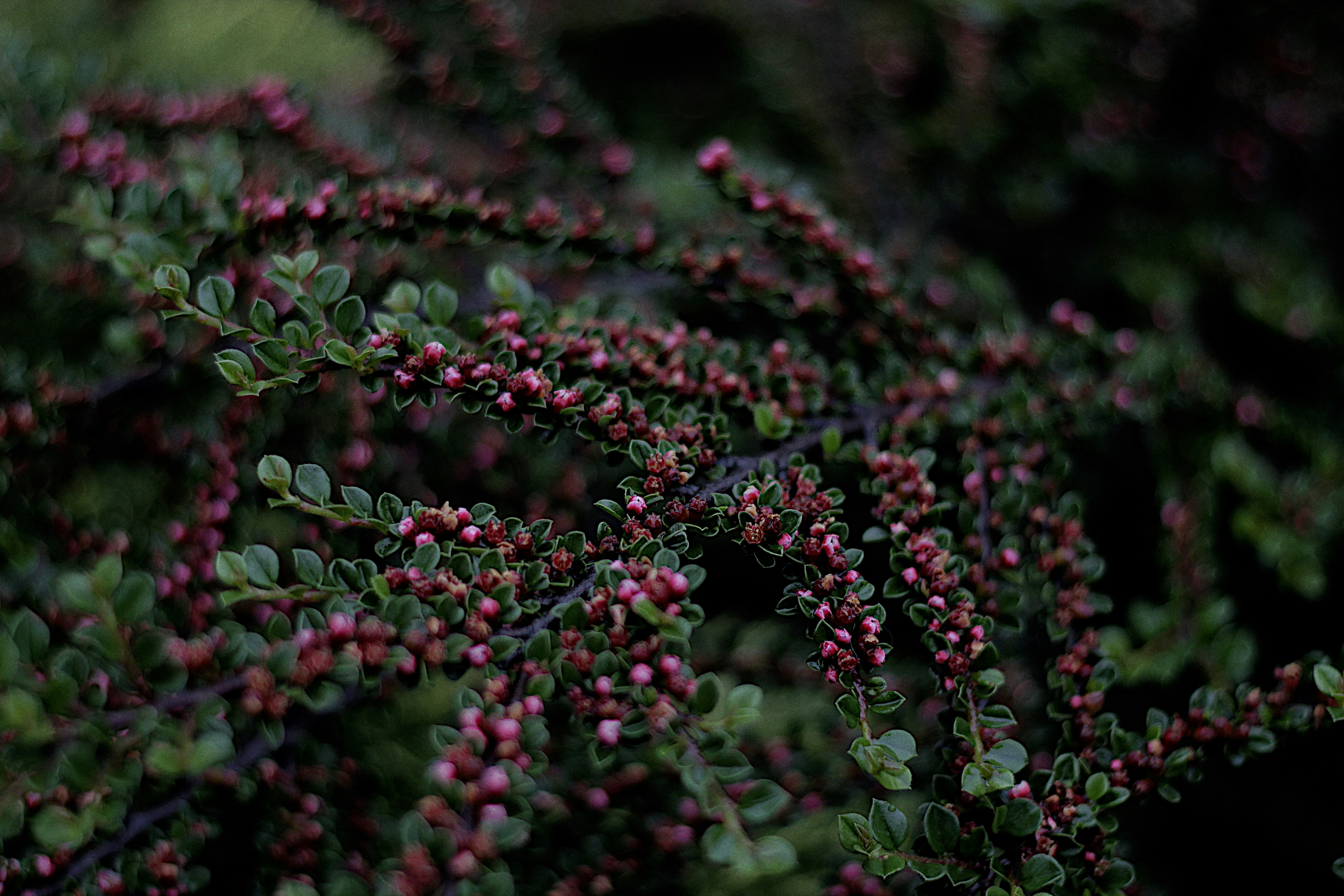 Photo by iiiiver