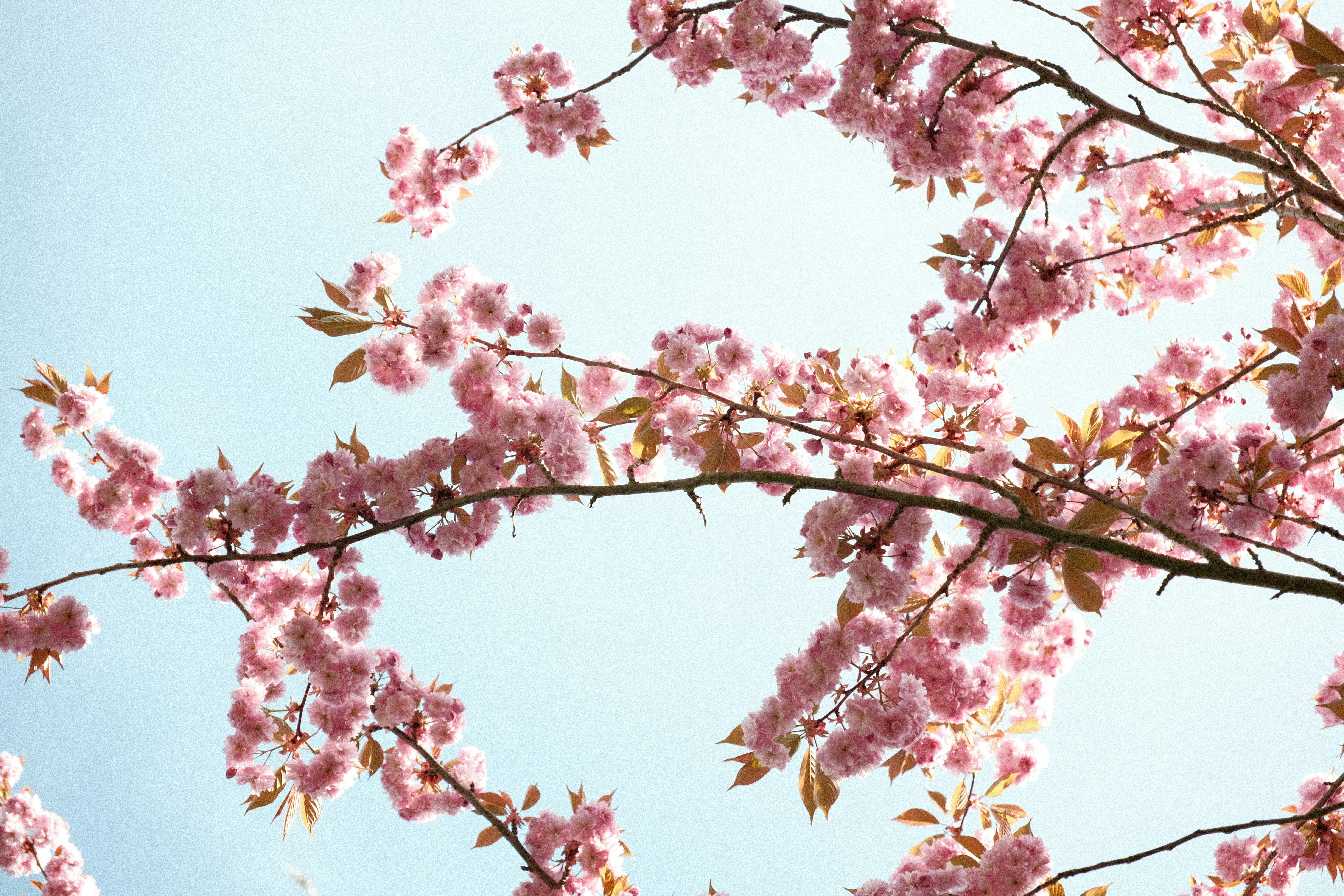 Photo by samanthacasm