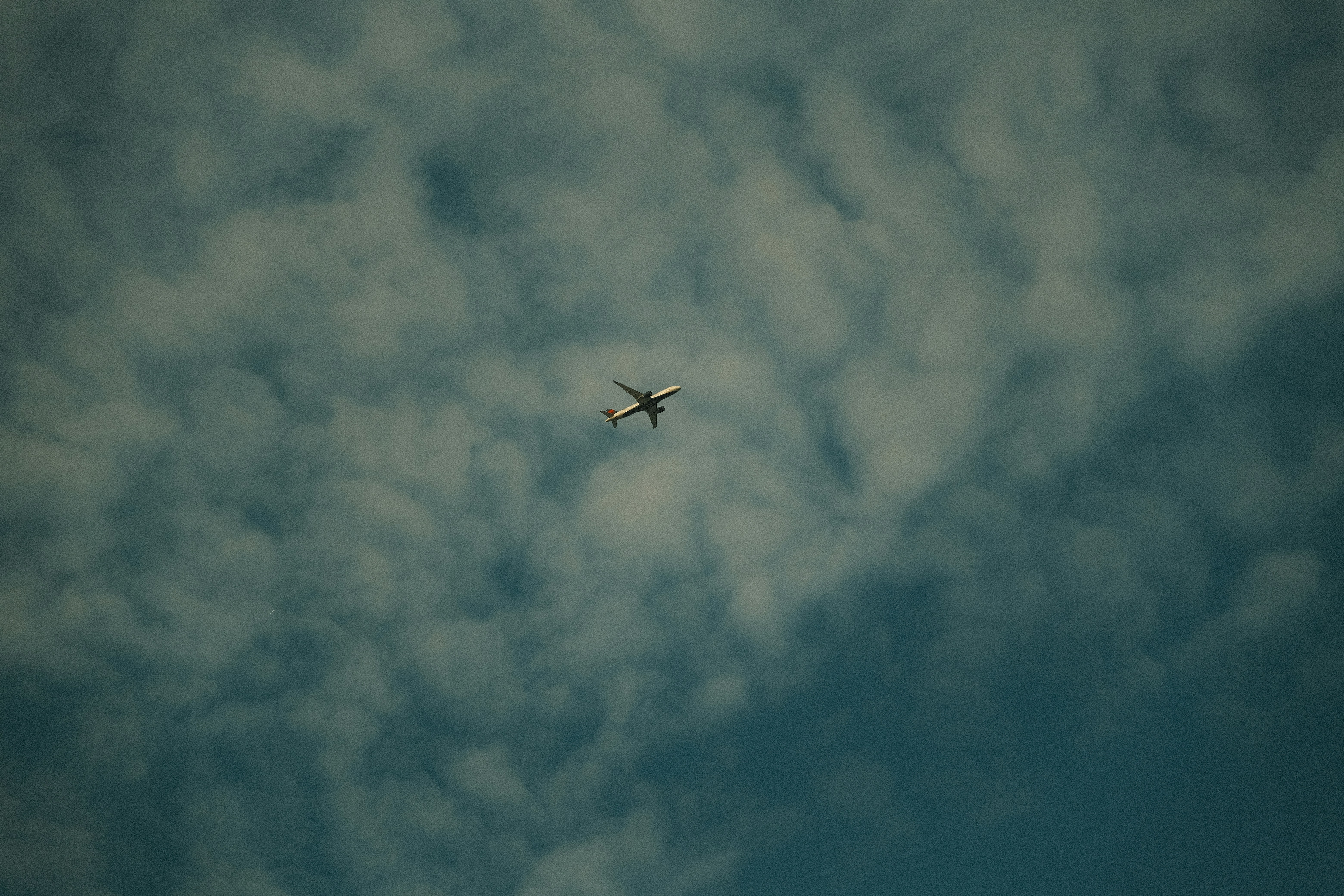 Photo by samanthacasm