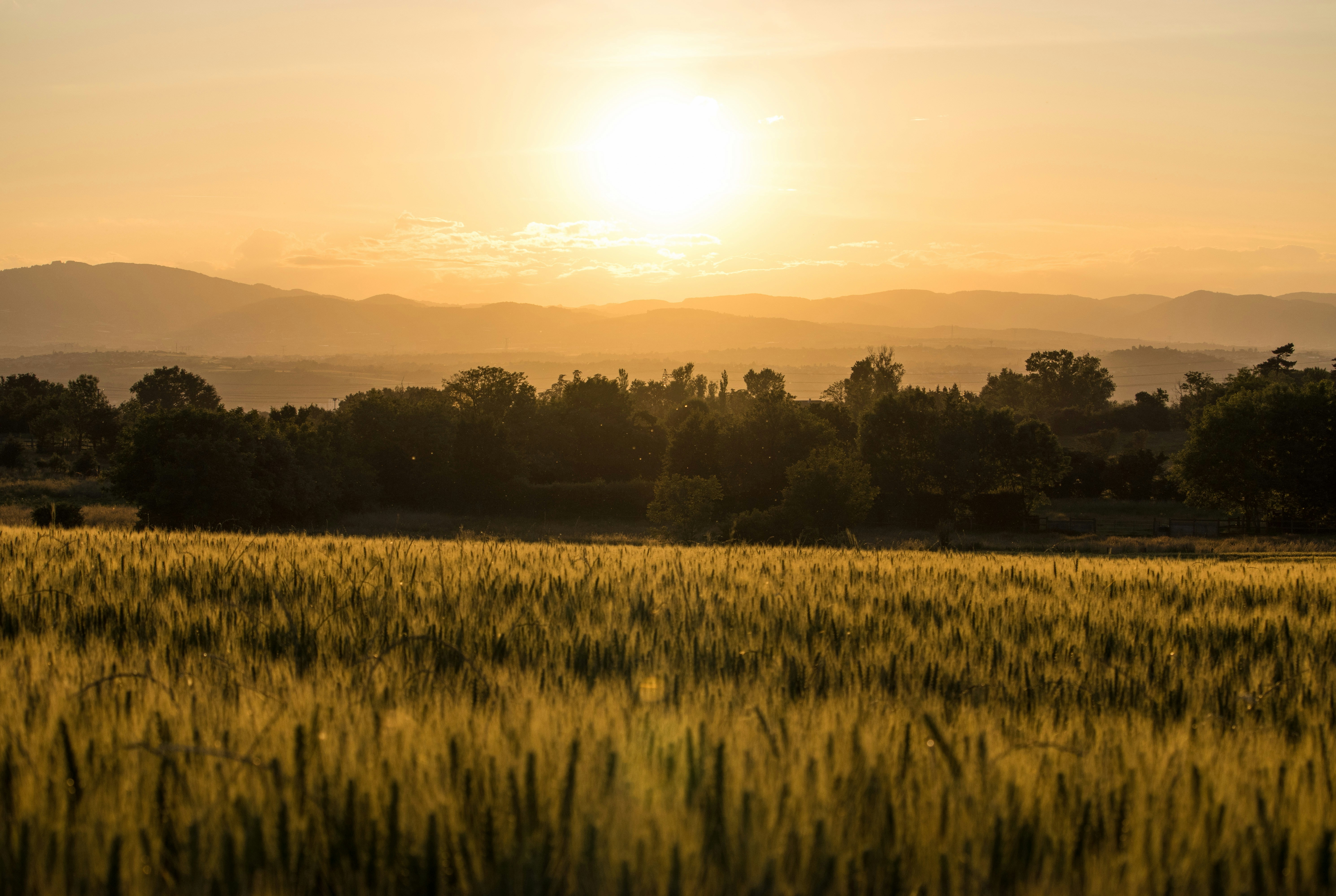 Photo by lucasgallone