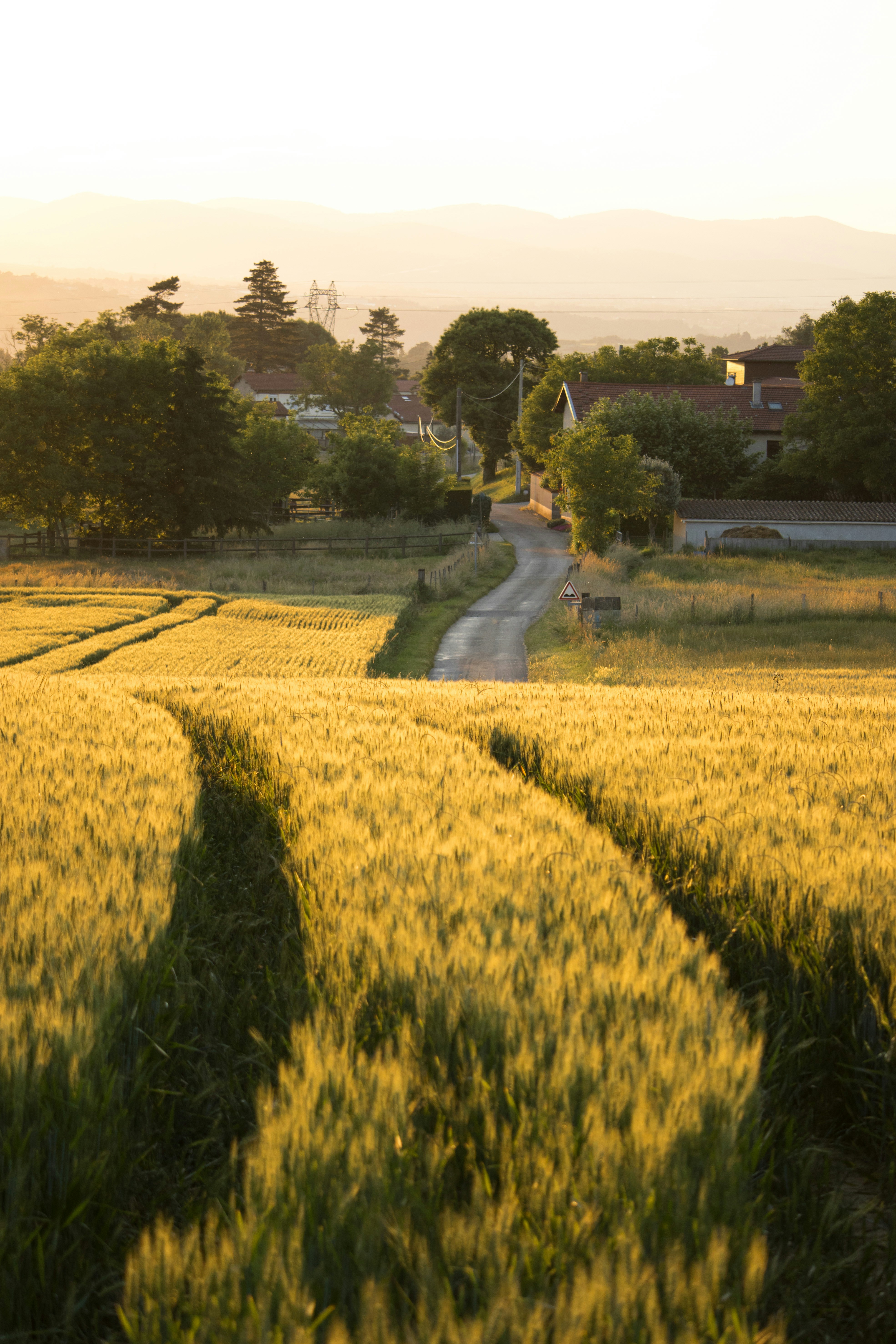 rural landscape wallpaper, wallpaper, Bisnis Modal Kecil Untung Besar di Desa 4