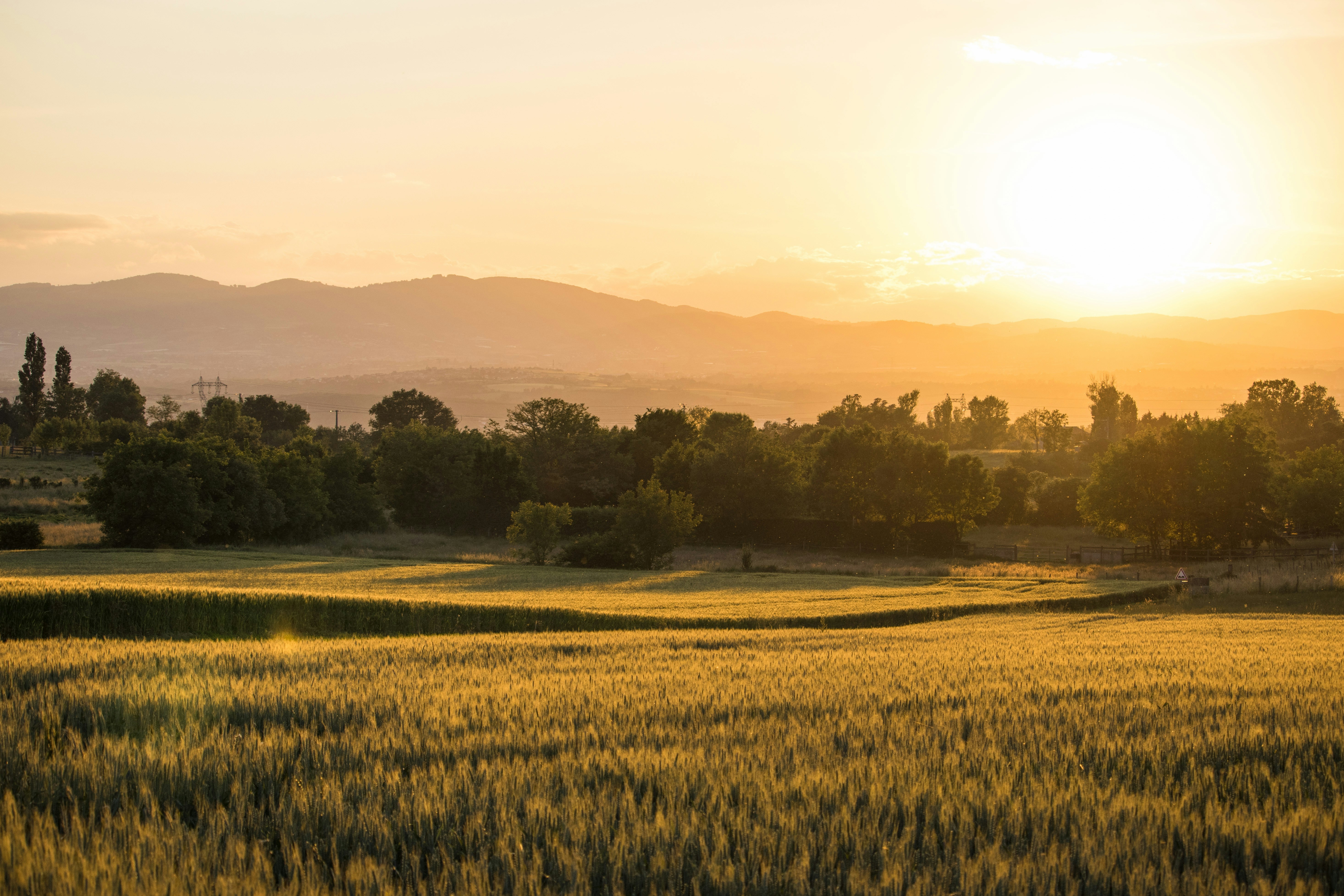 Photo by lucasgallone