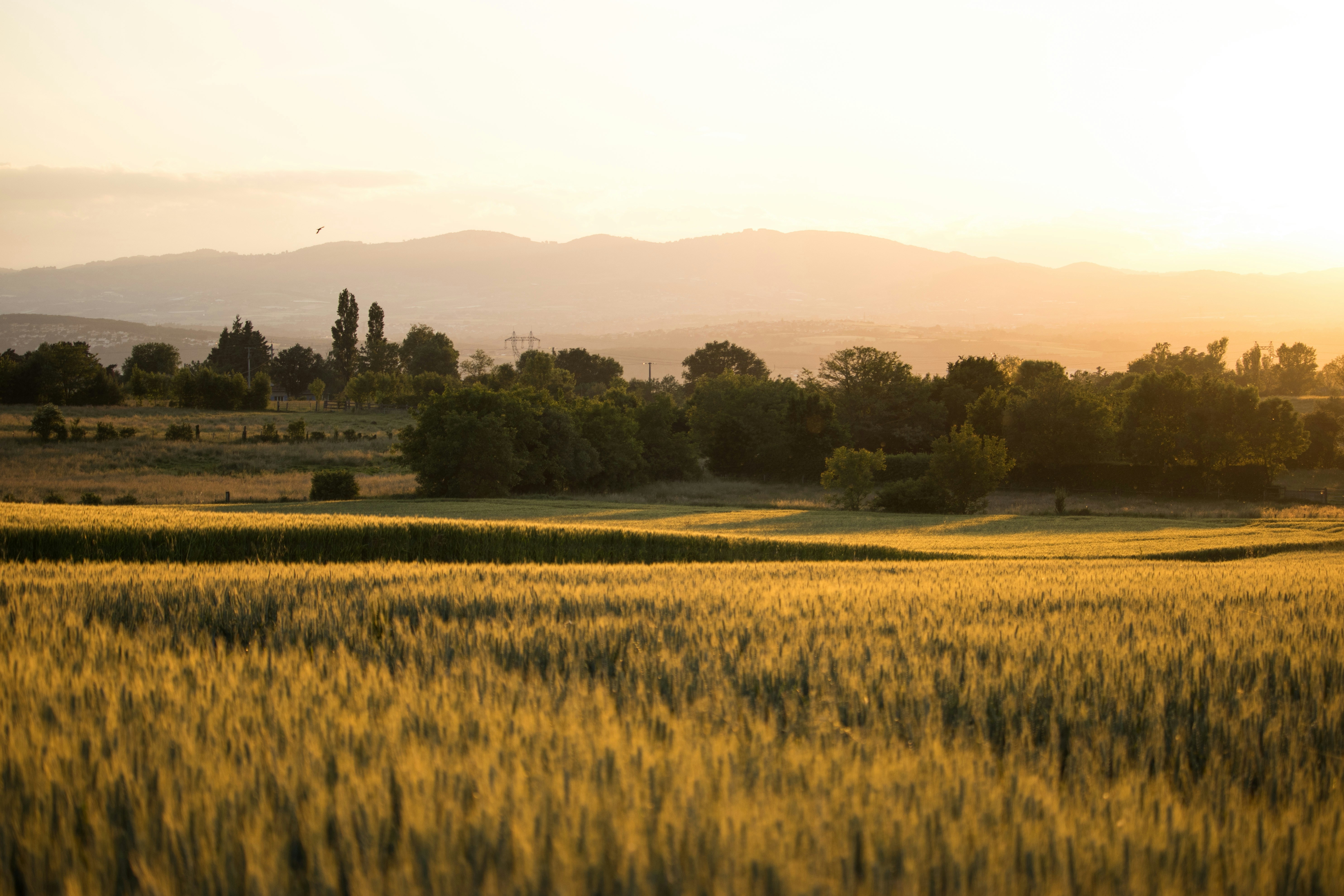 Photo by lucasgallone