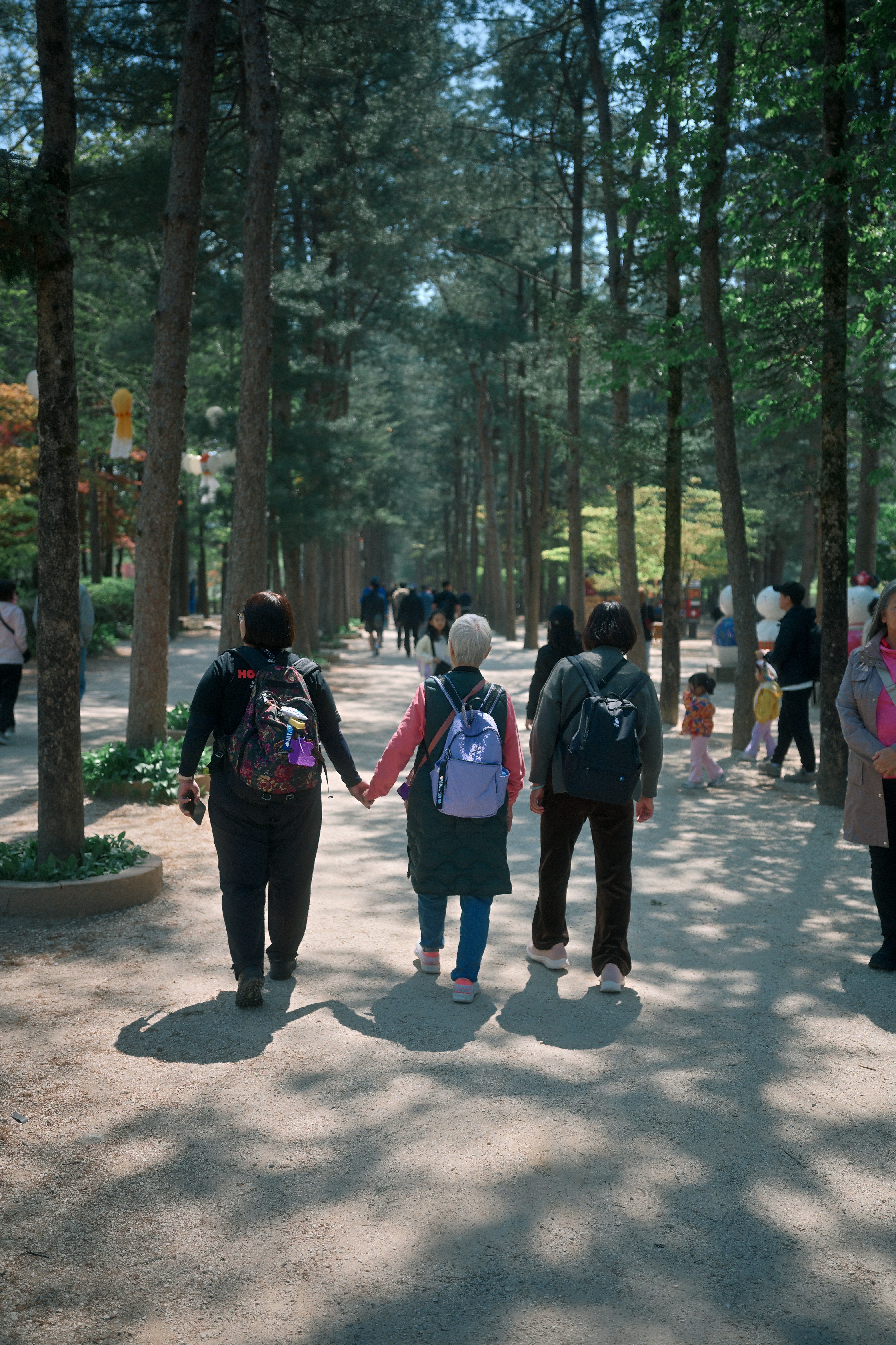 Freunde schlendern durch einen Park, der von hohen Bäumen gesäumt ist.