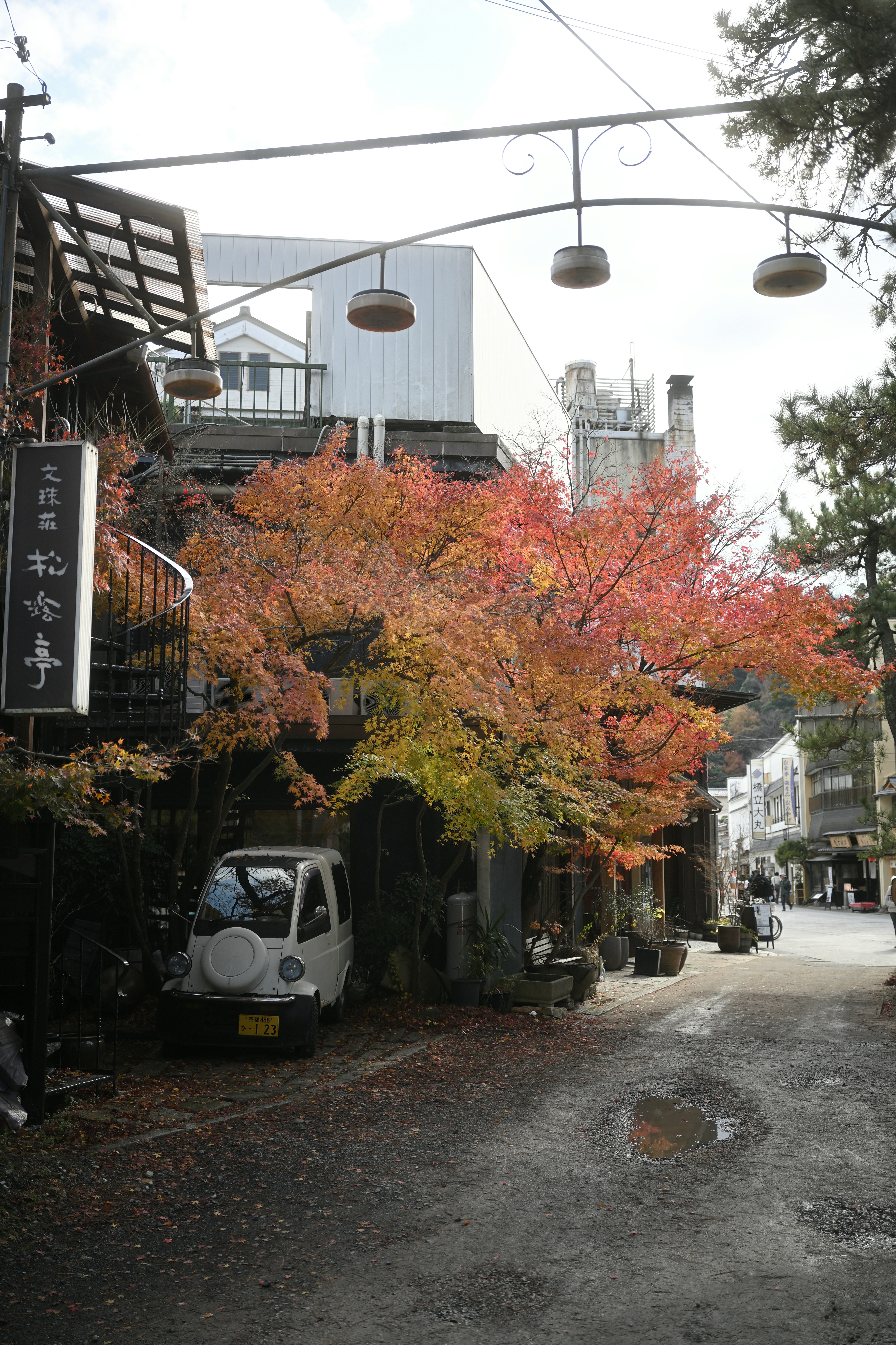 Autumn trees adorn a quaint street scene.