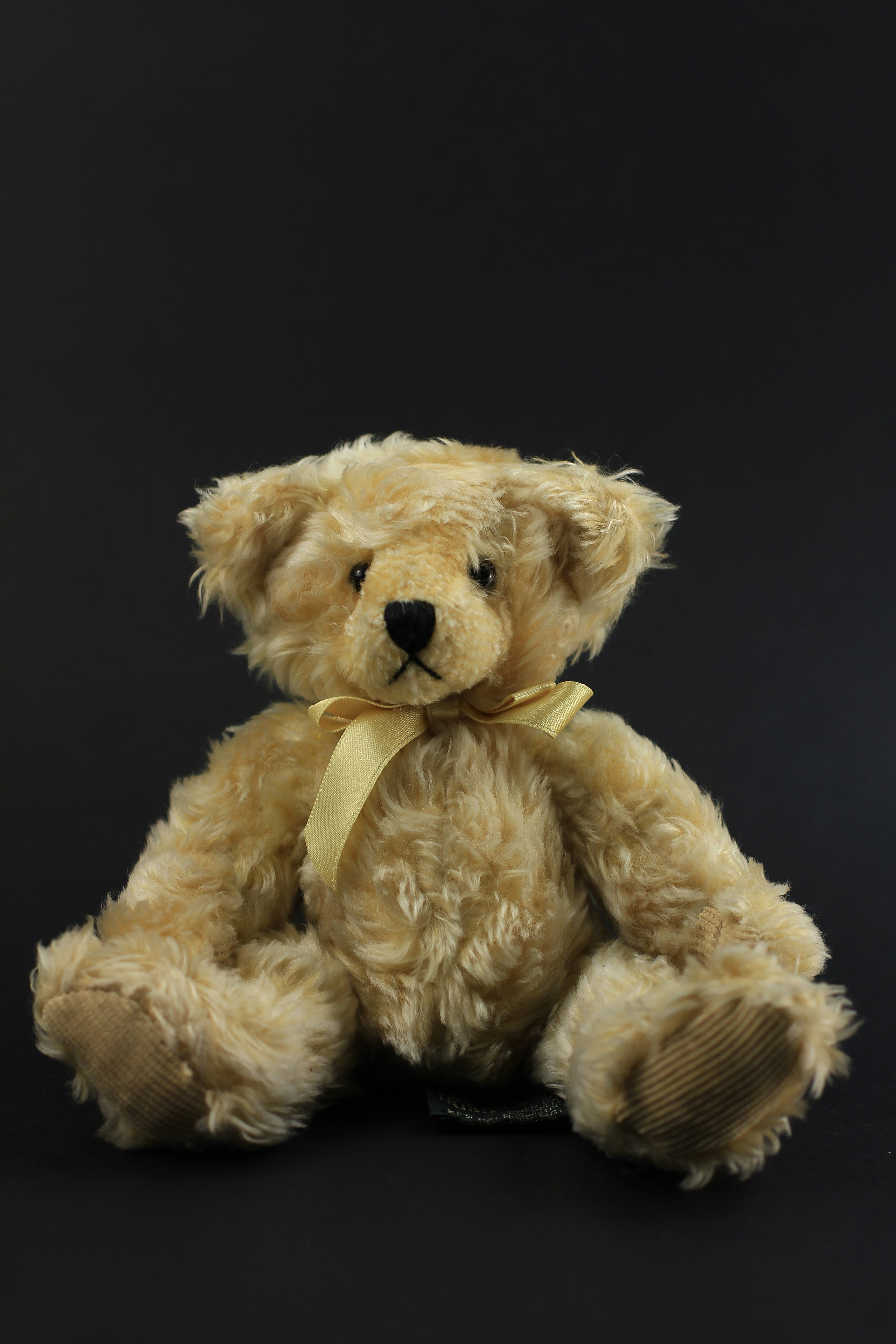 Photo by venczakjanos