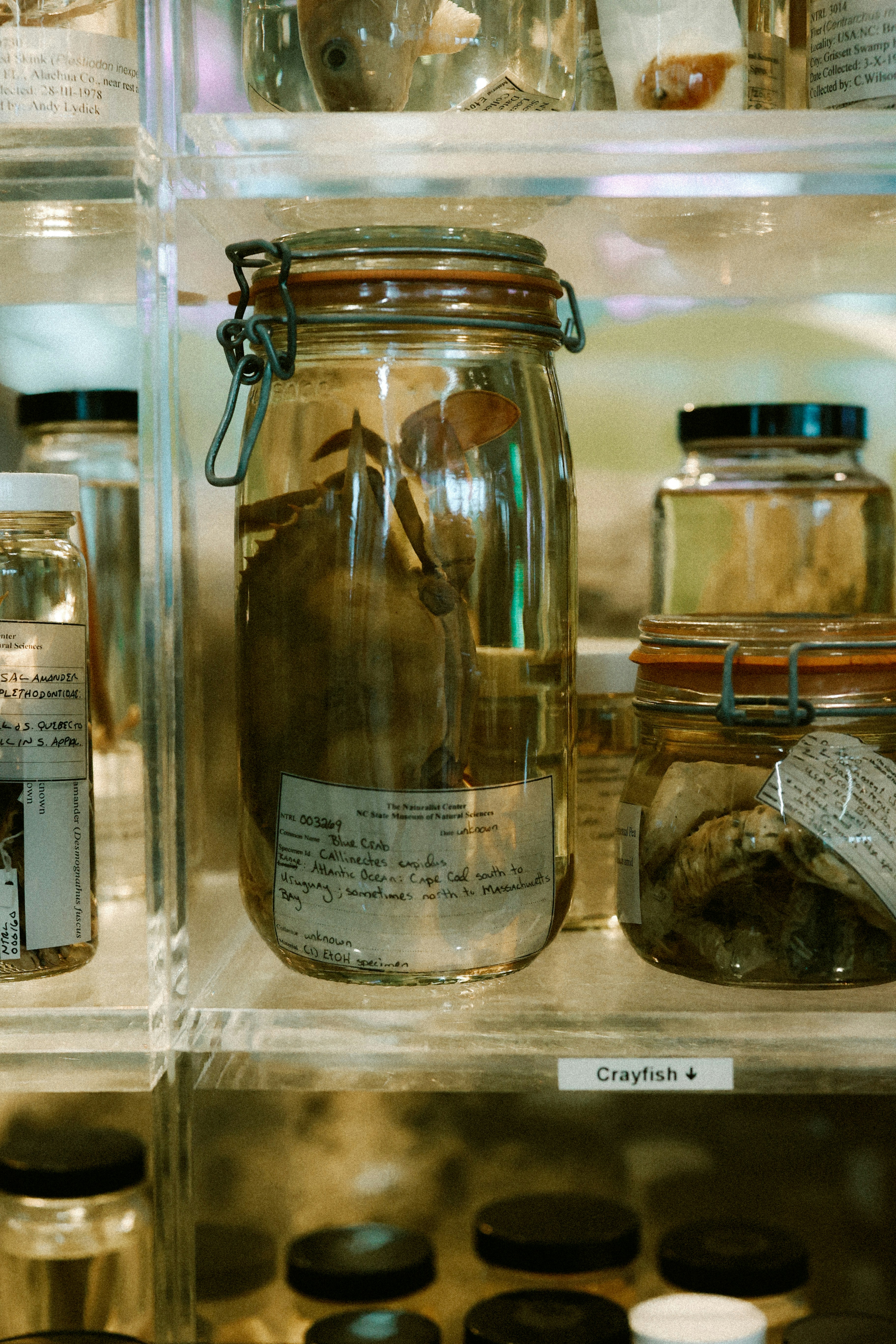 Photo by brookebalentine