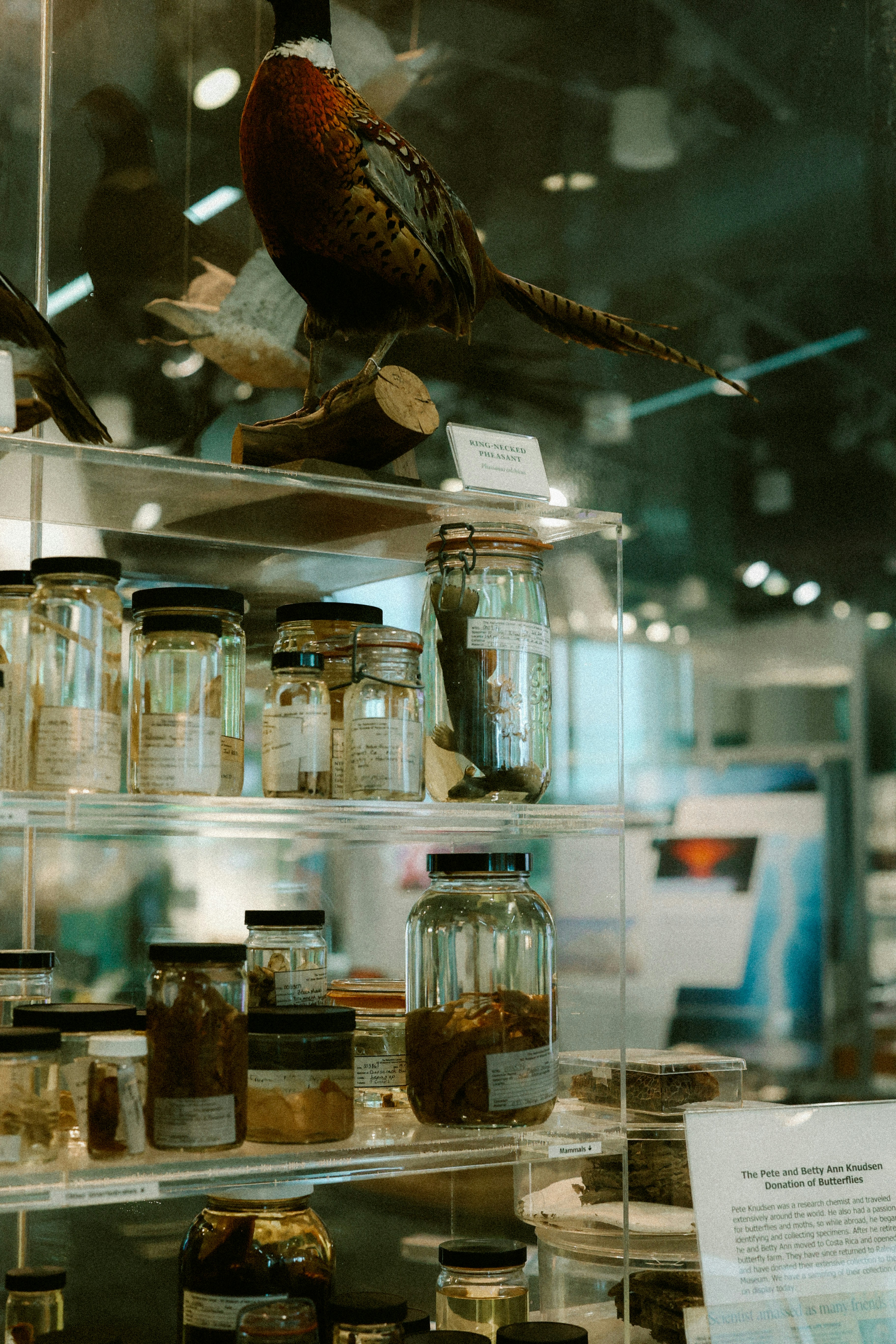 Photo by brookebalentine