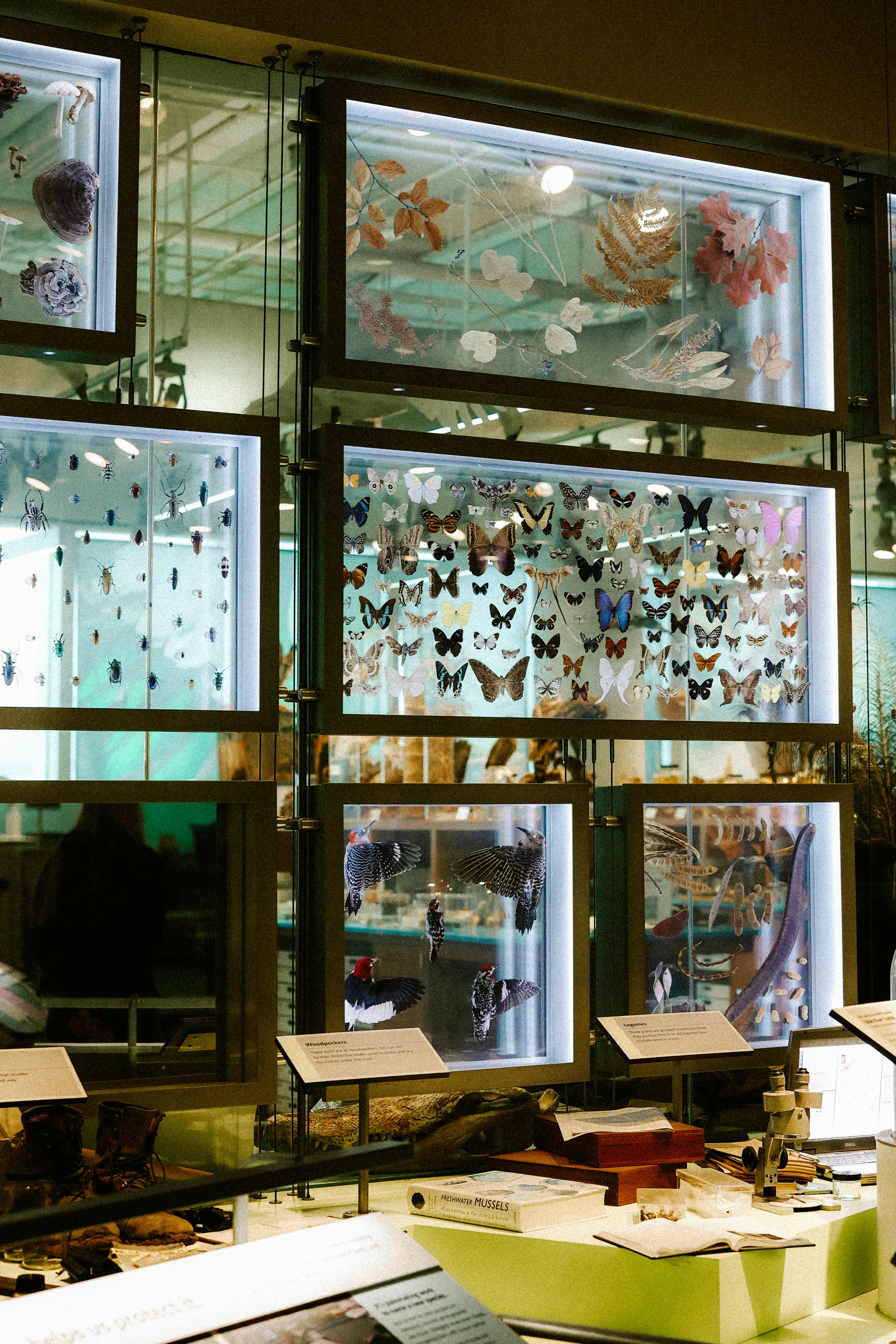 Photo by brookebalentine