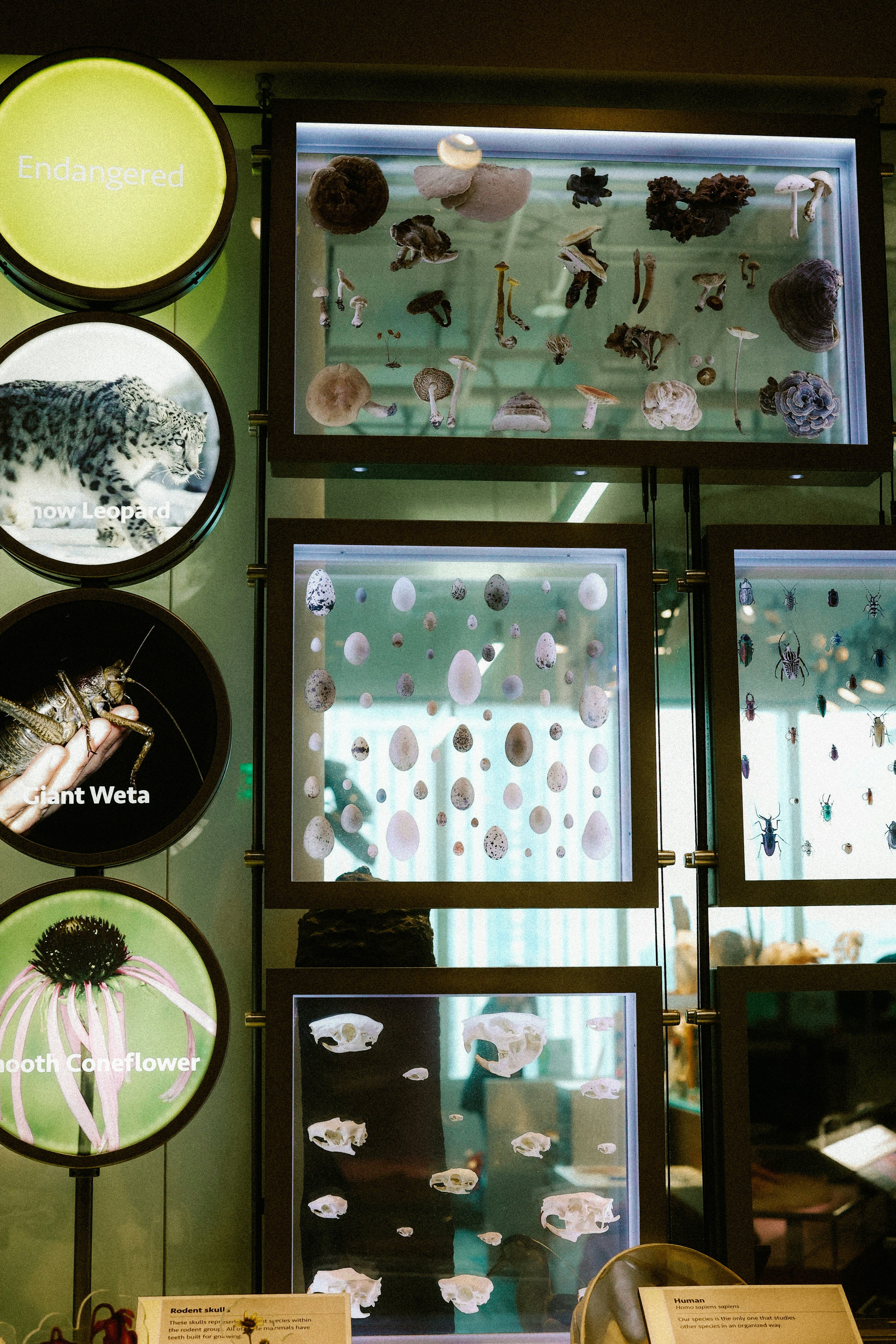 Photo by brookebalentine