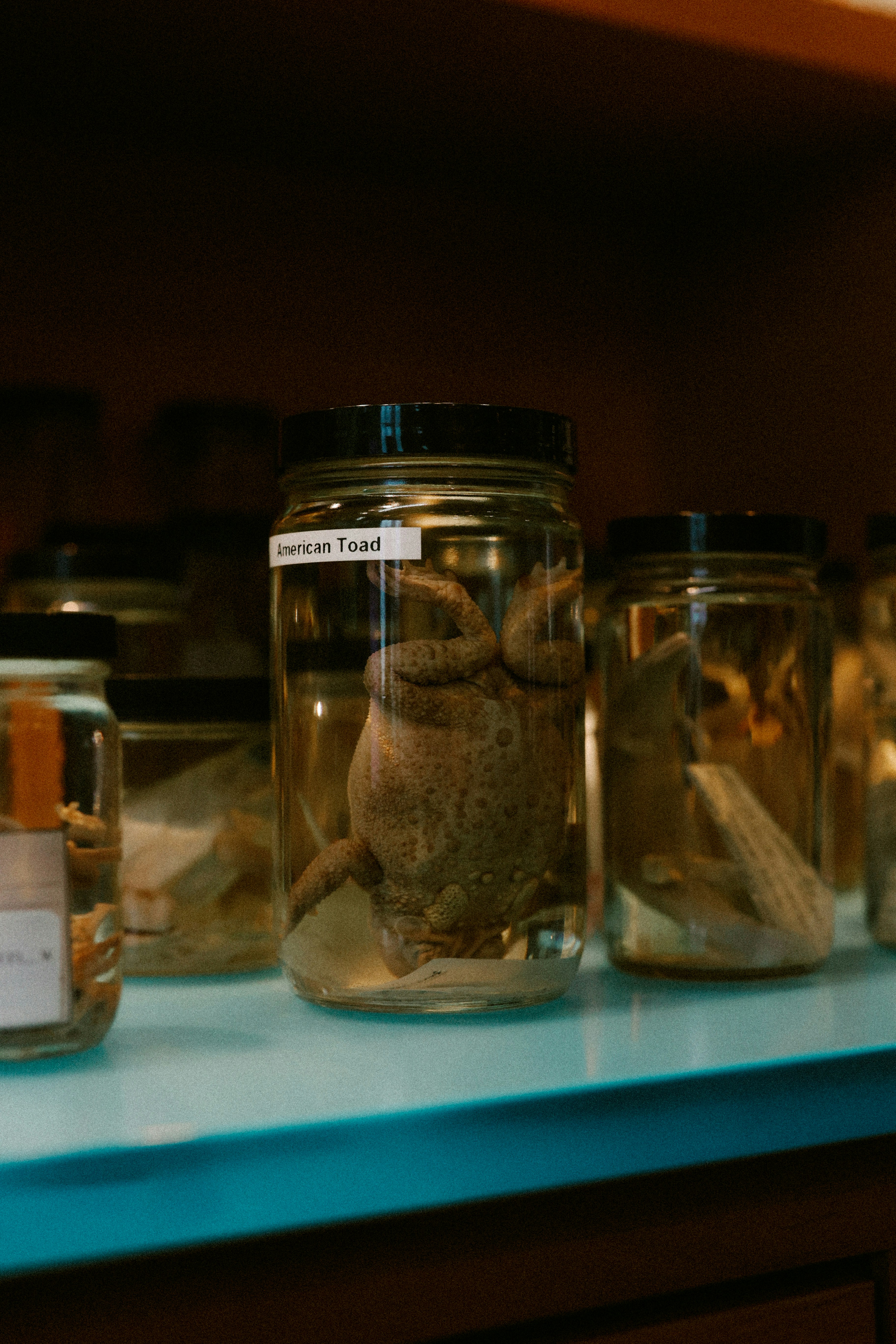 Photo by brookebalentine