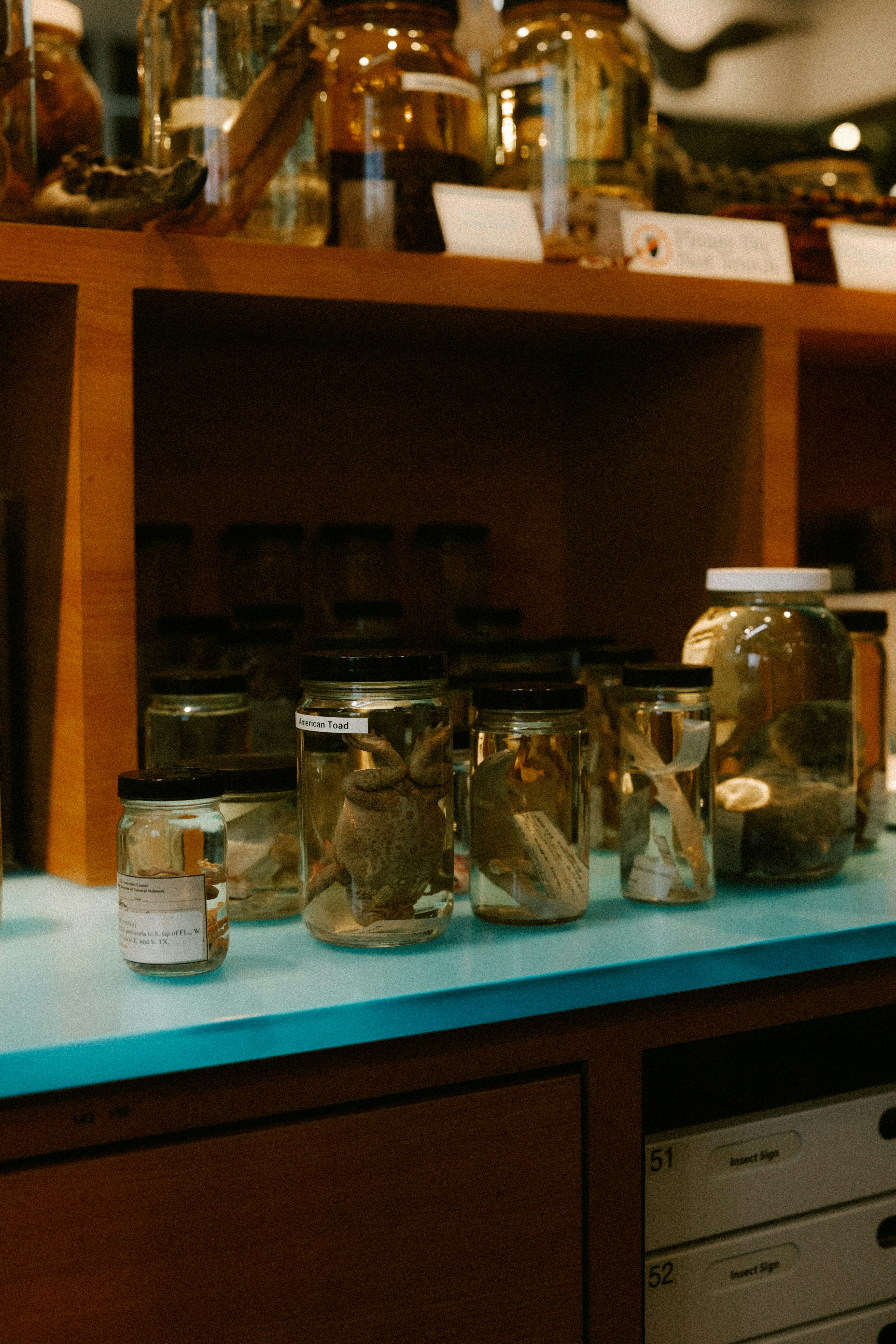 Photo by brookebalentine