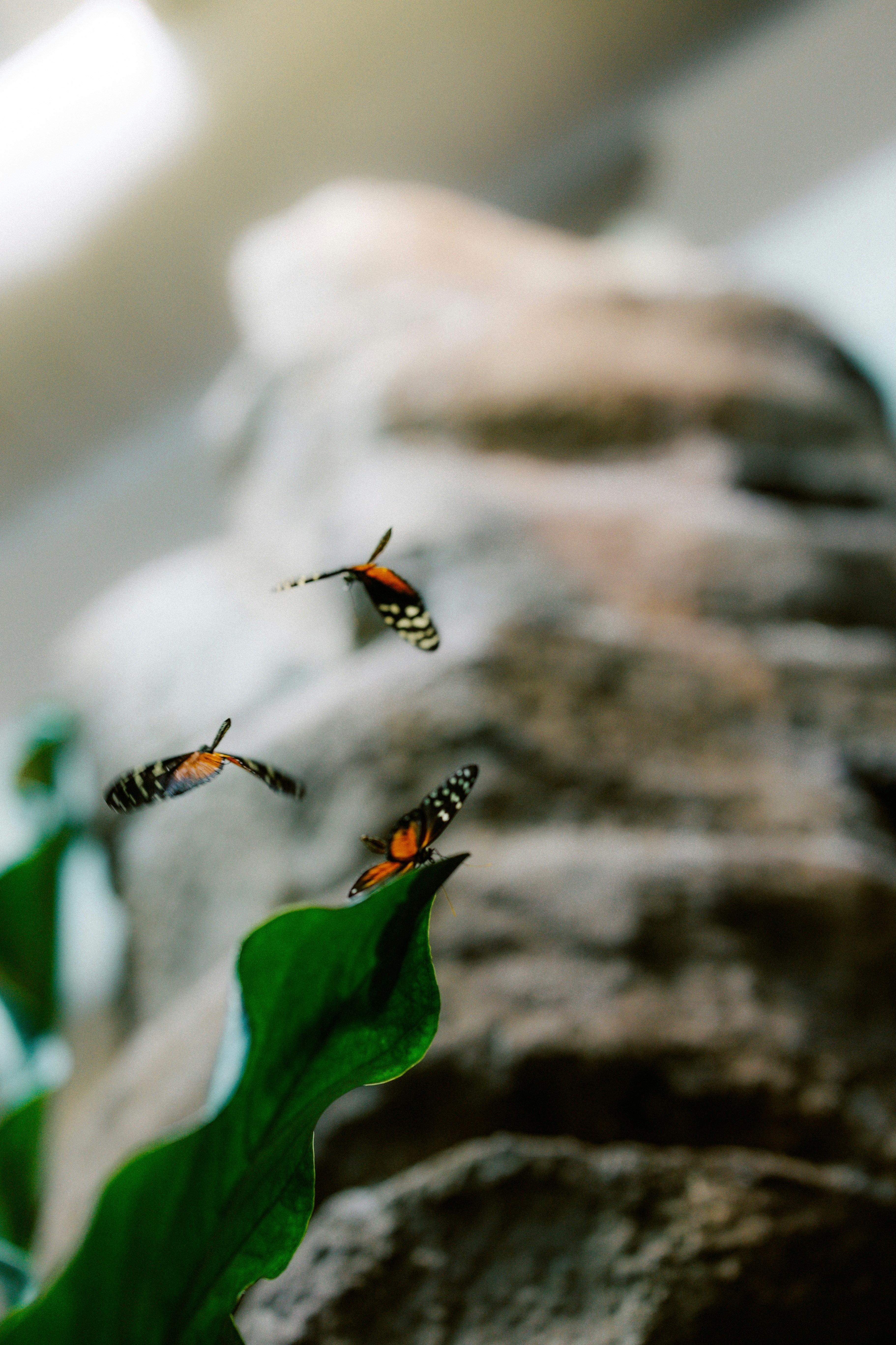 Photo by brookebalentine