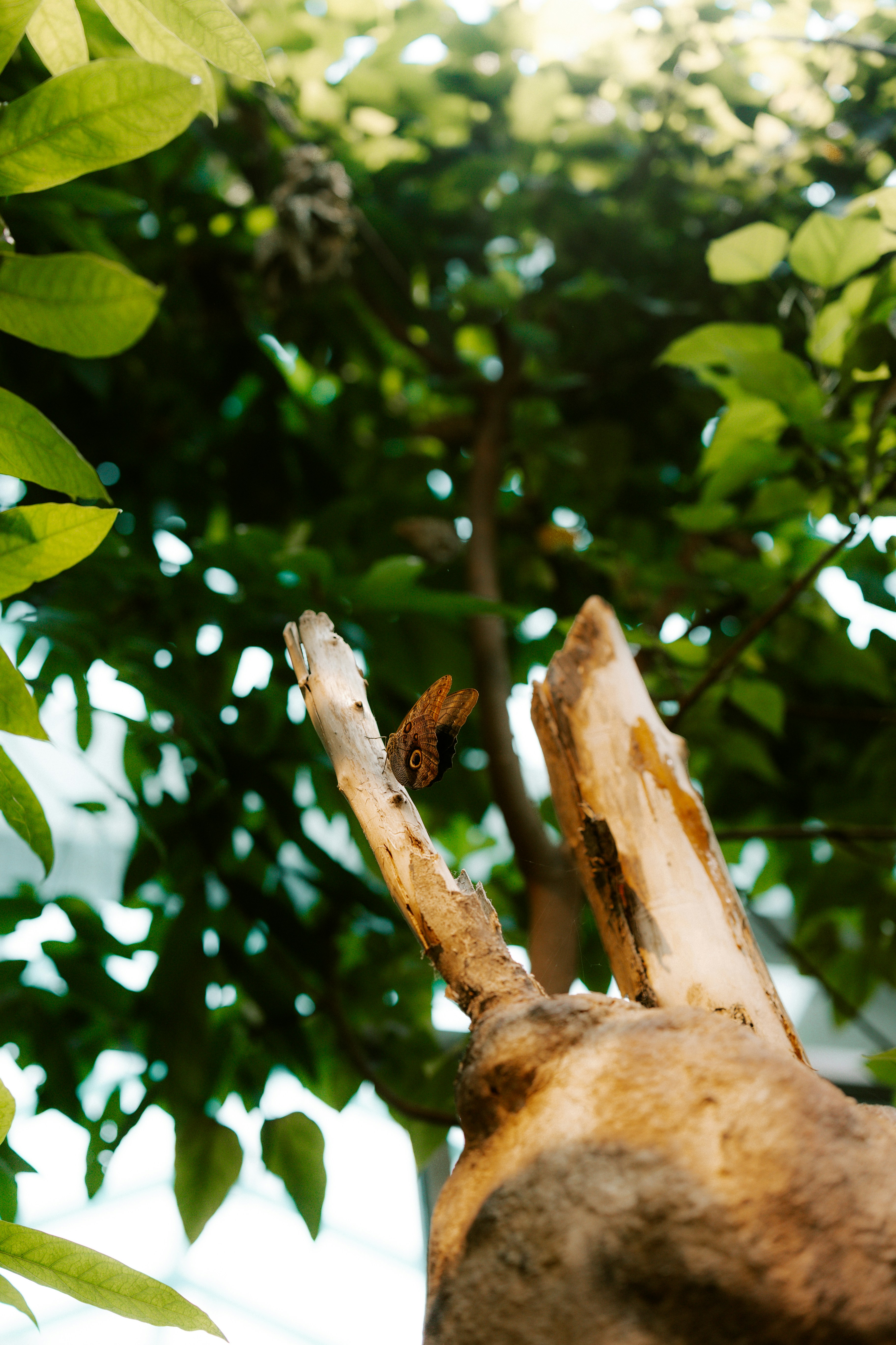 Photo by brookebalentine