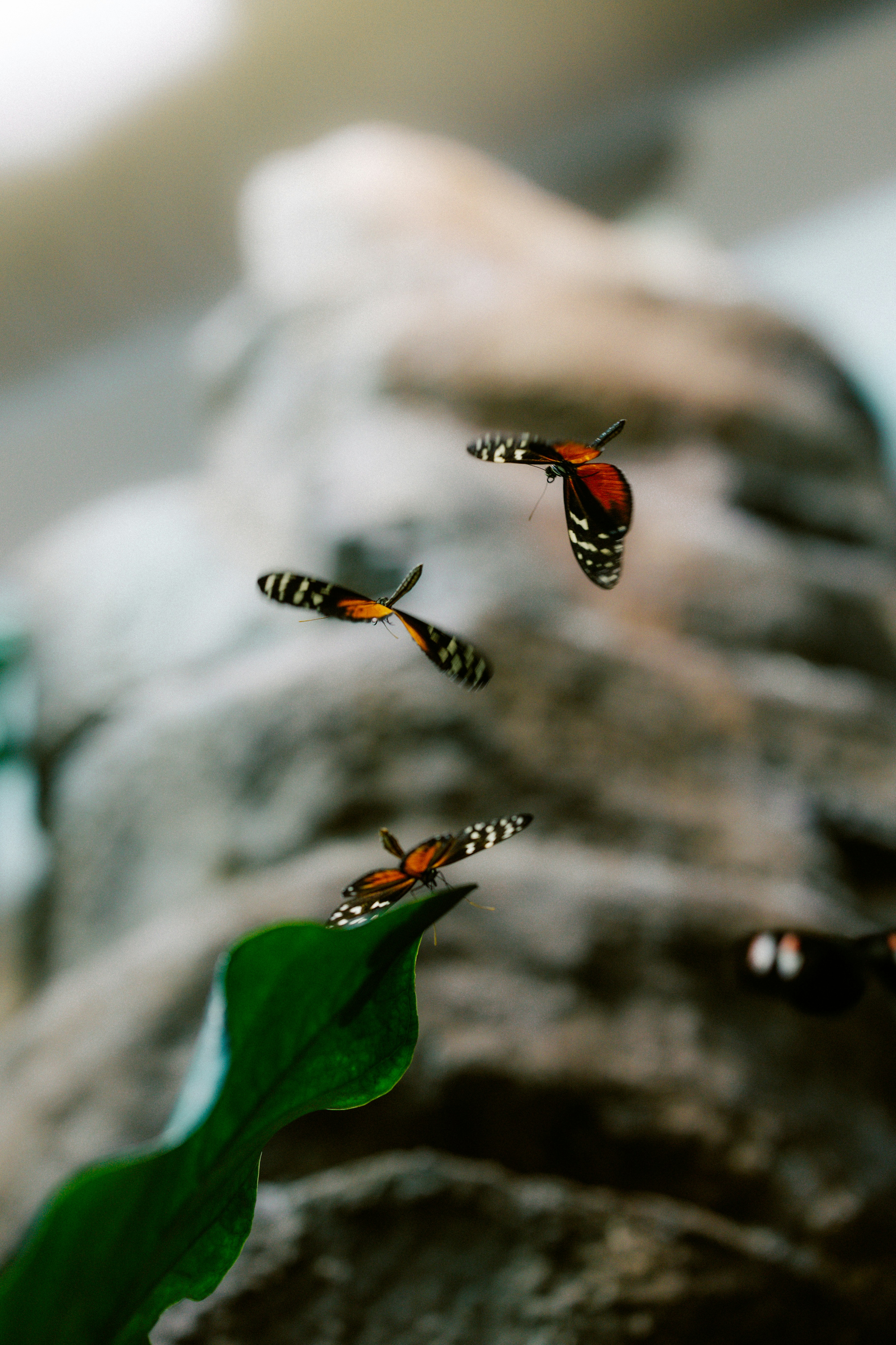 Photo by brookebalentine