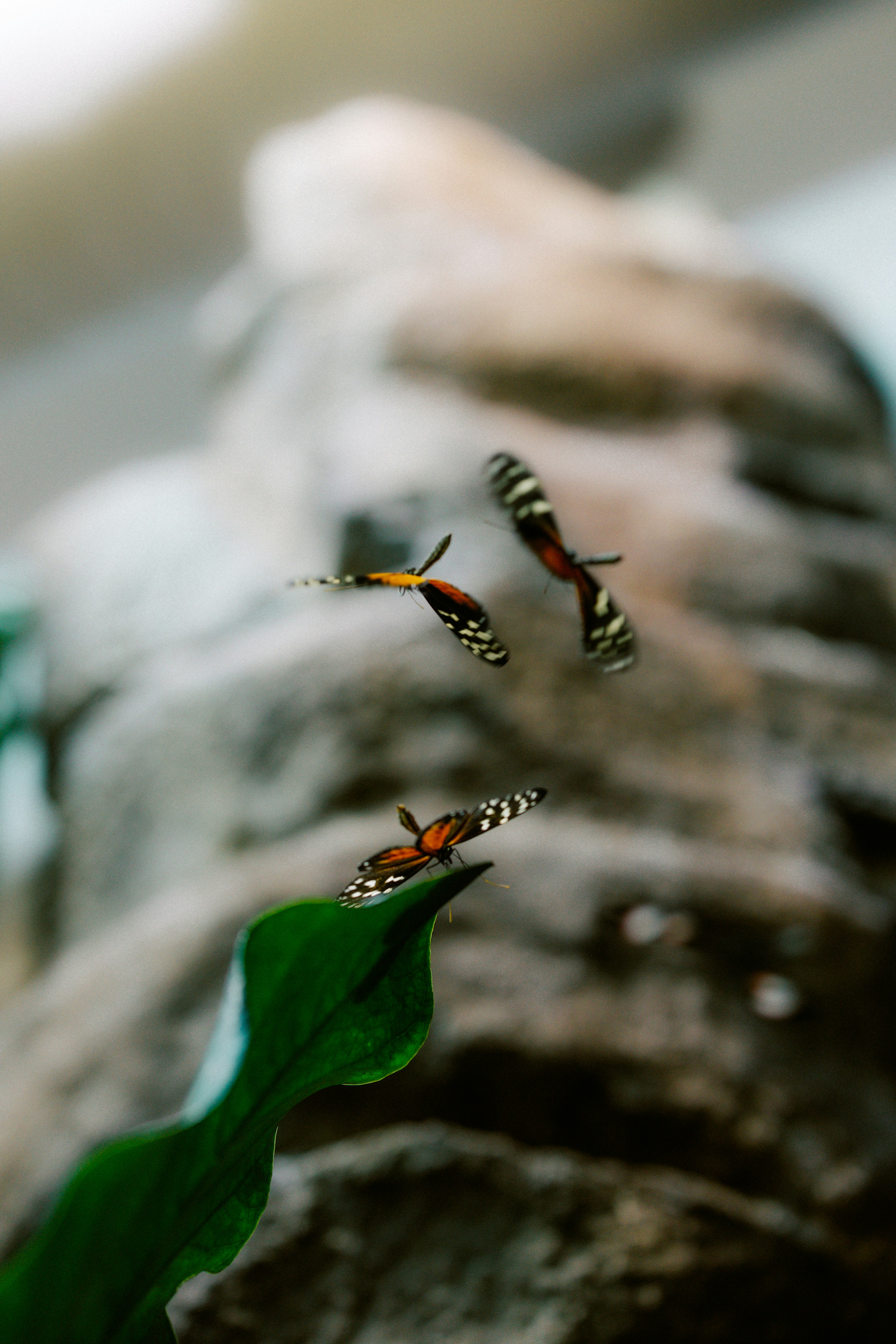 Photo by brookebalentine