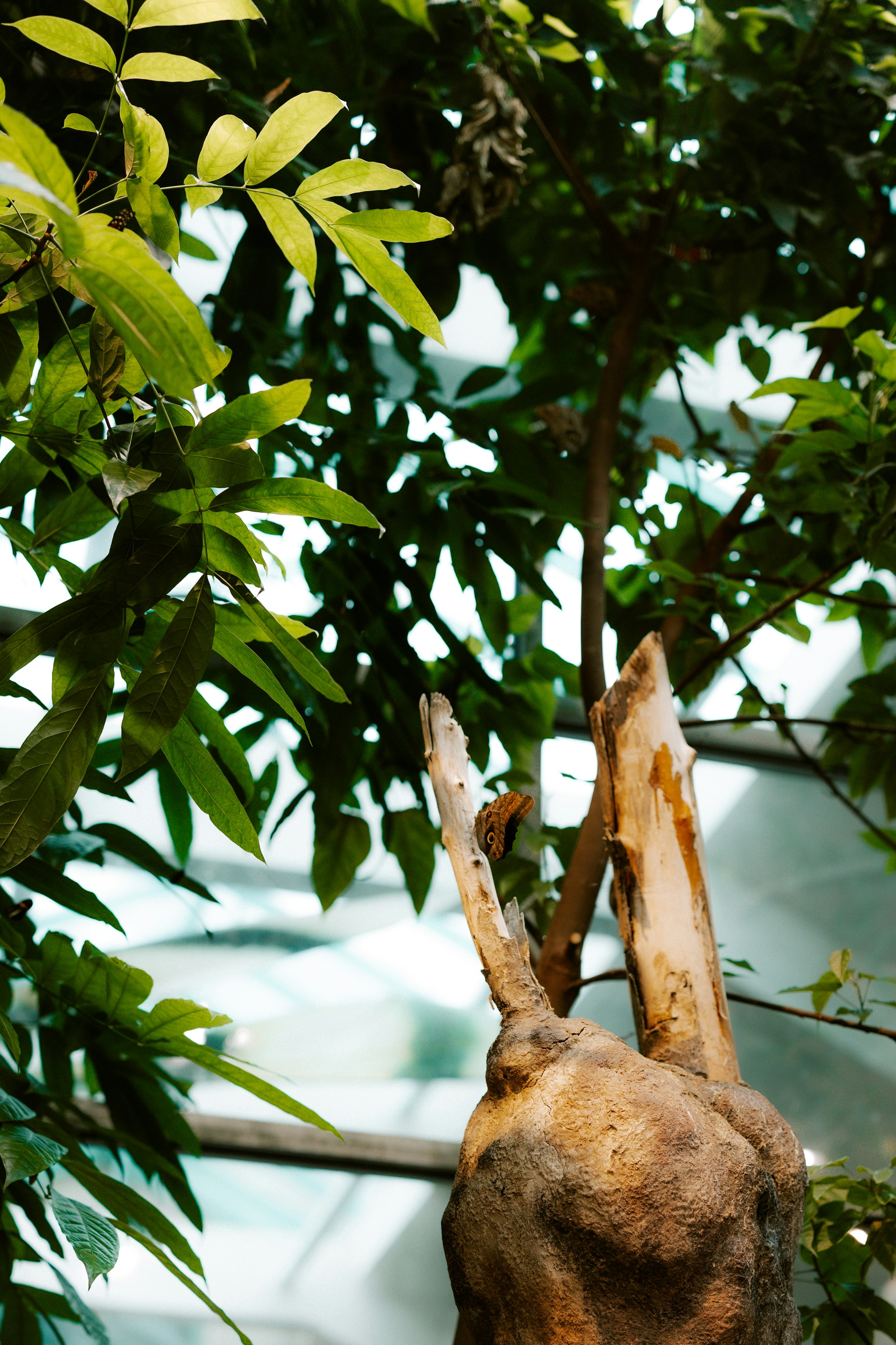 Photo by brookebalentine