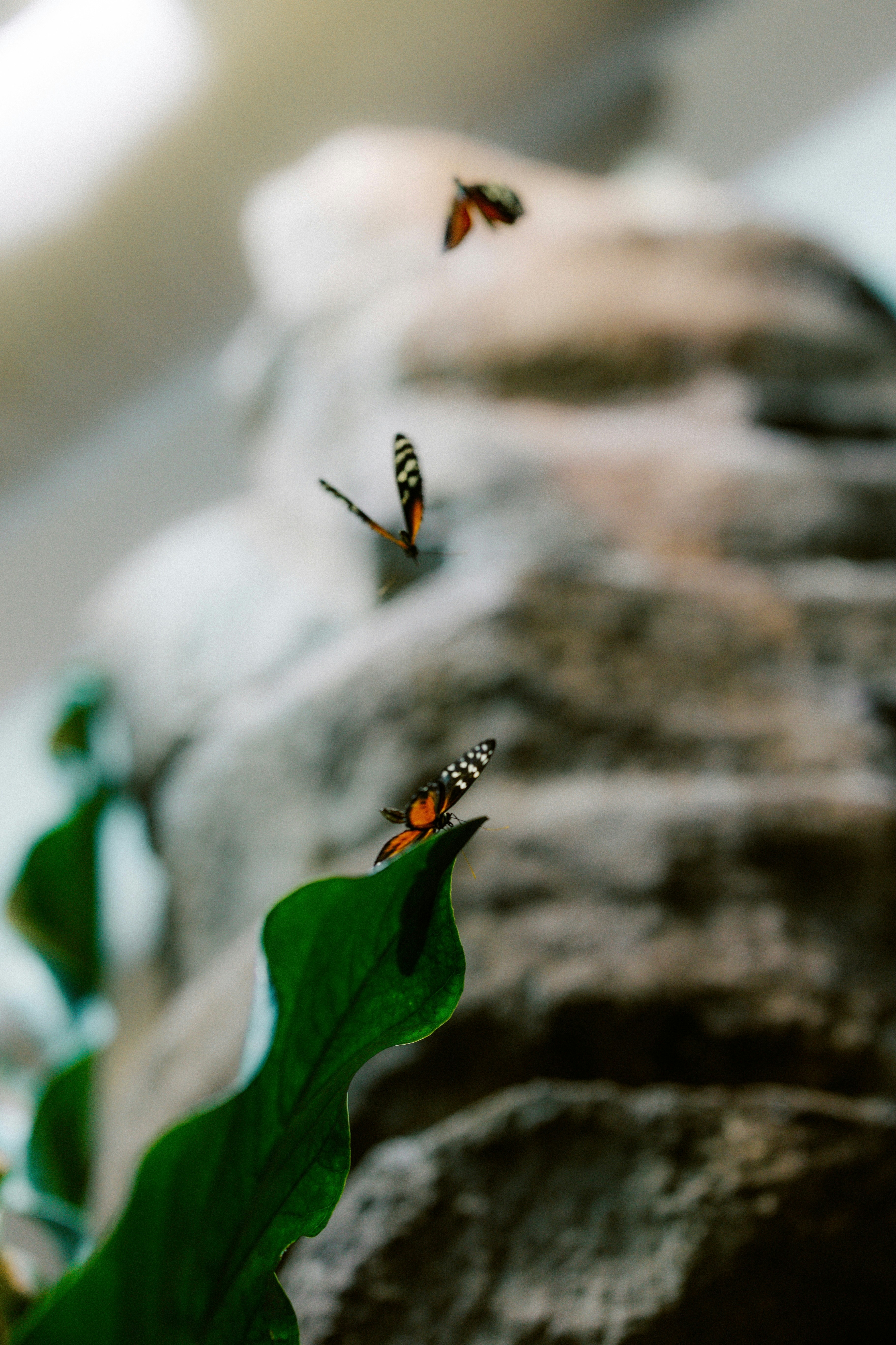 Photo by brookebalentine