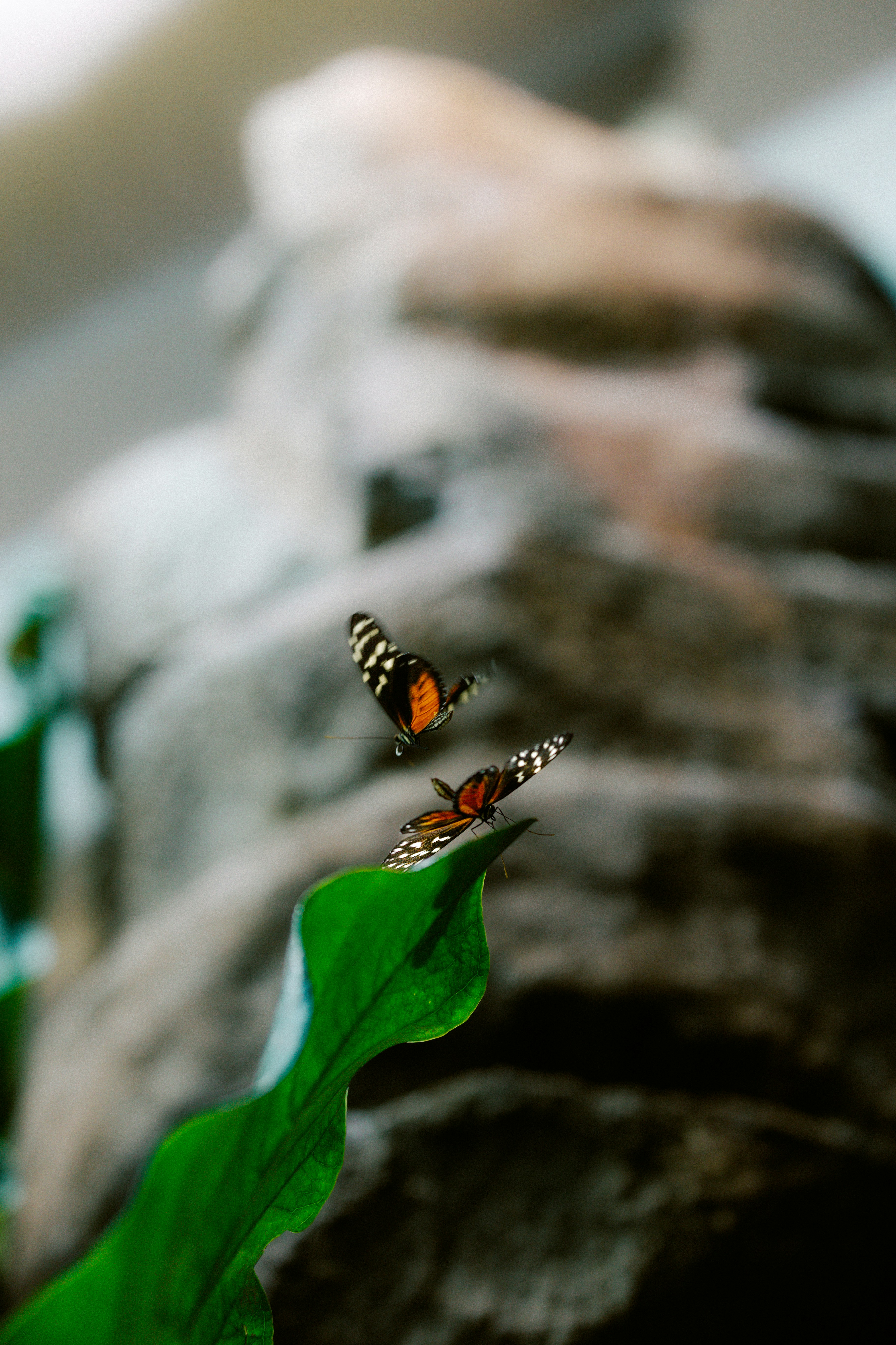 Photo by brookebalentine