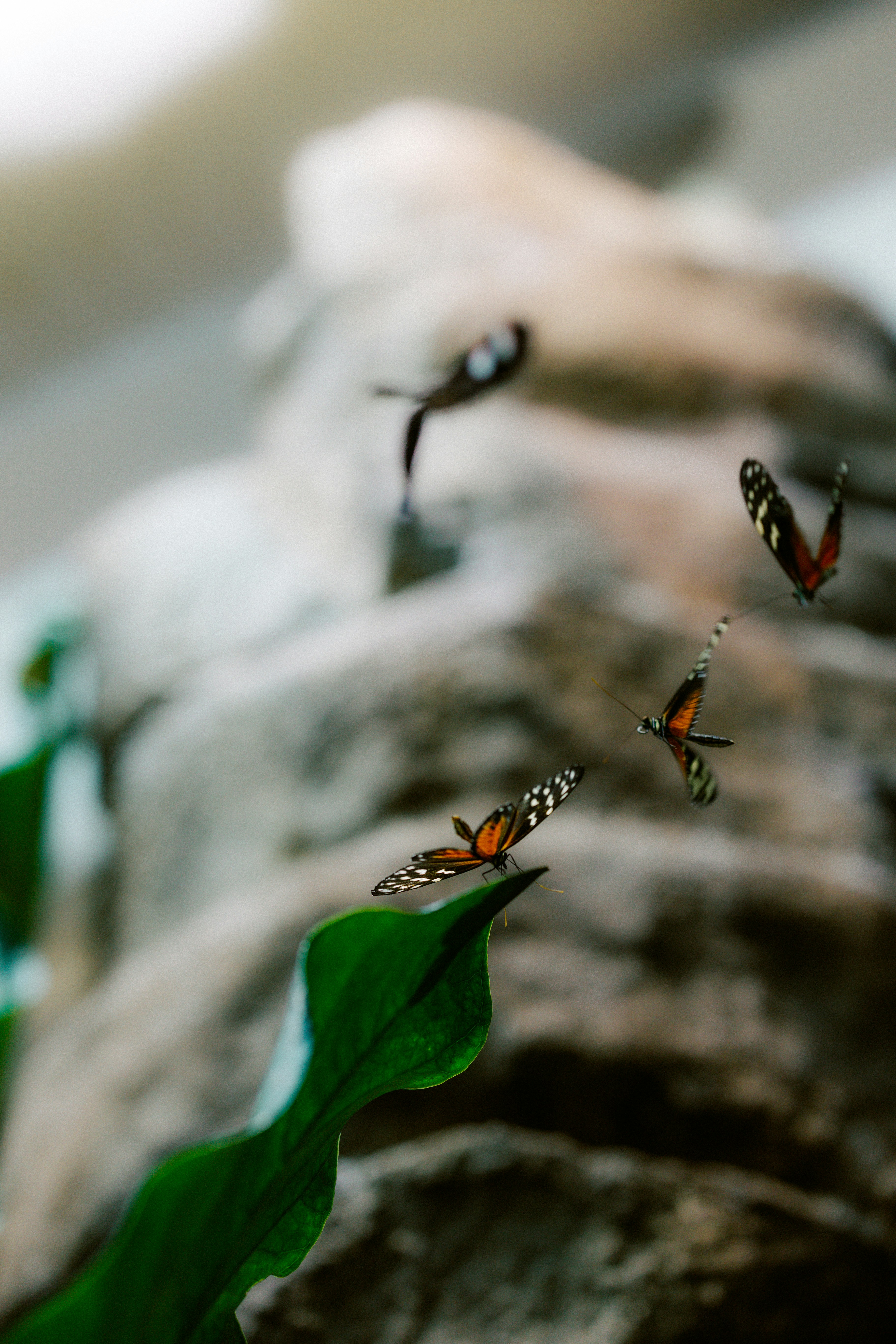 Photo by brookebalentine