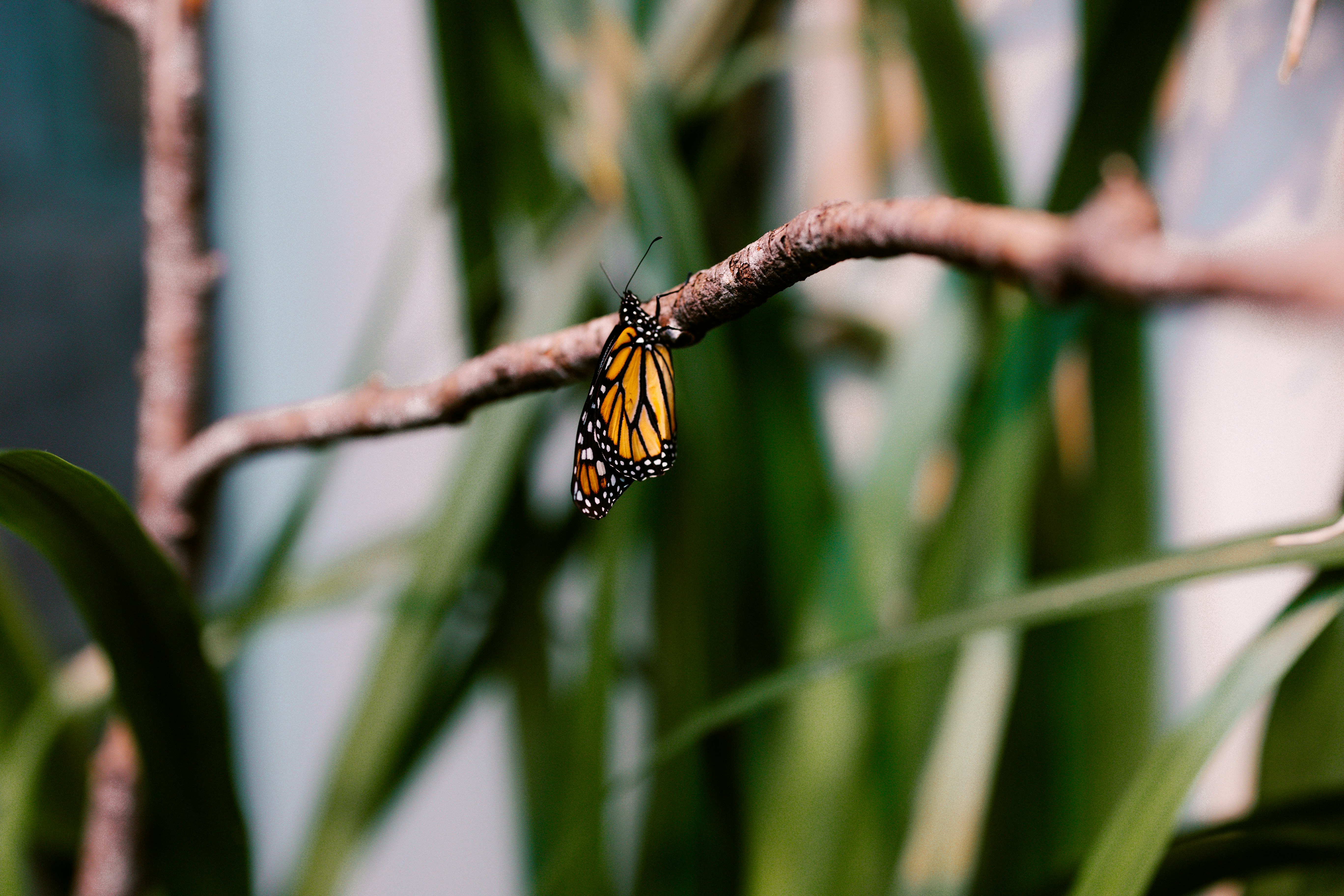 Photo by brookebalentine