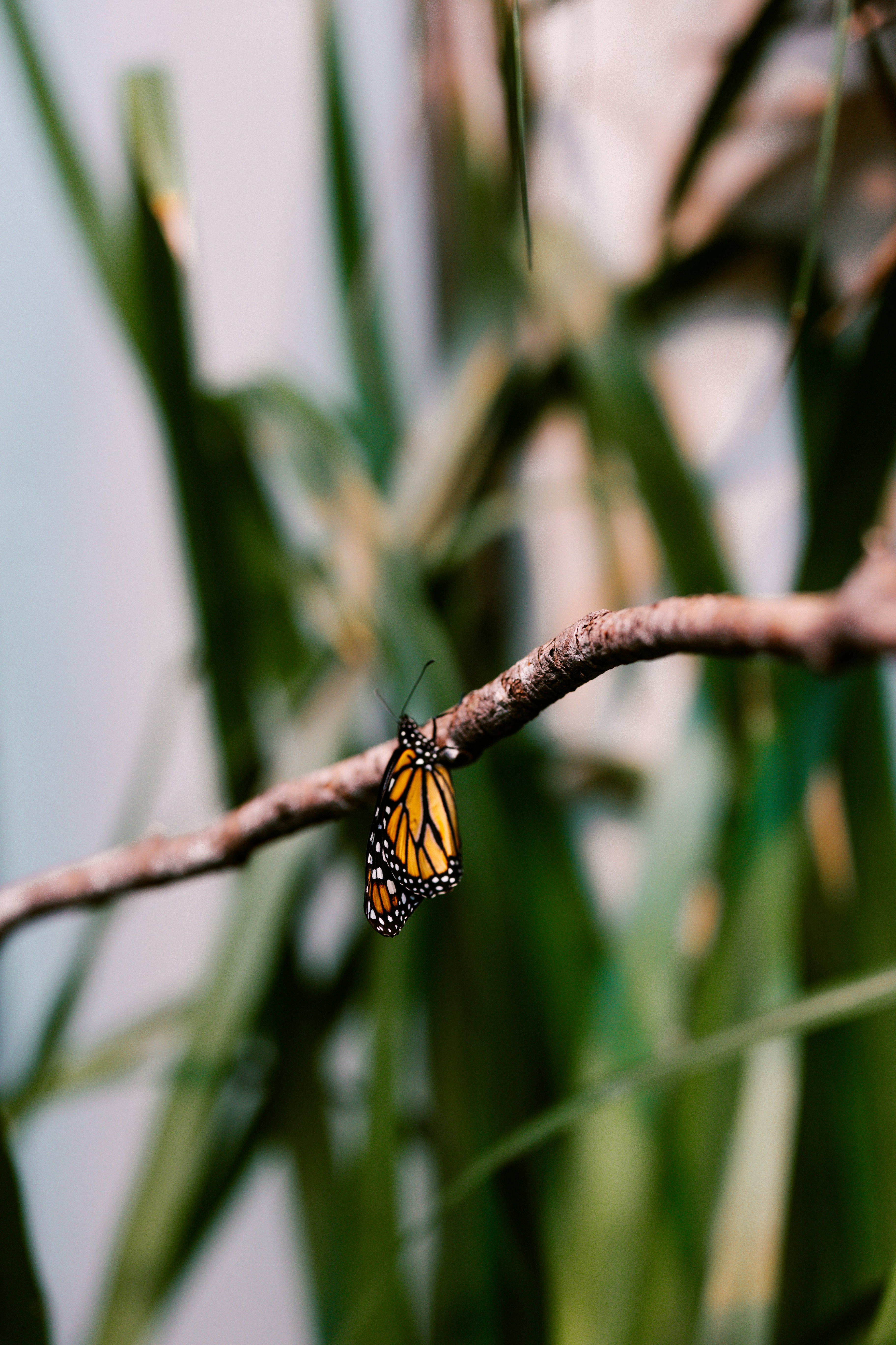 Photo by brookebalentine