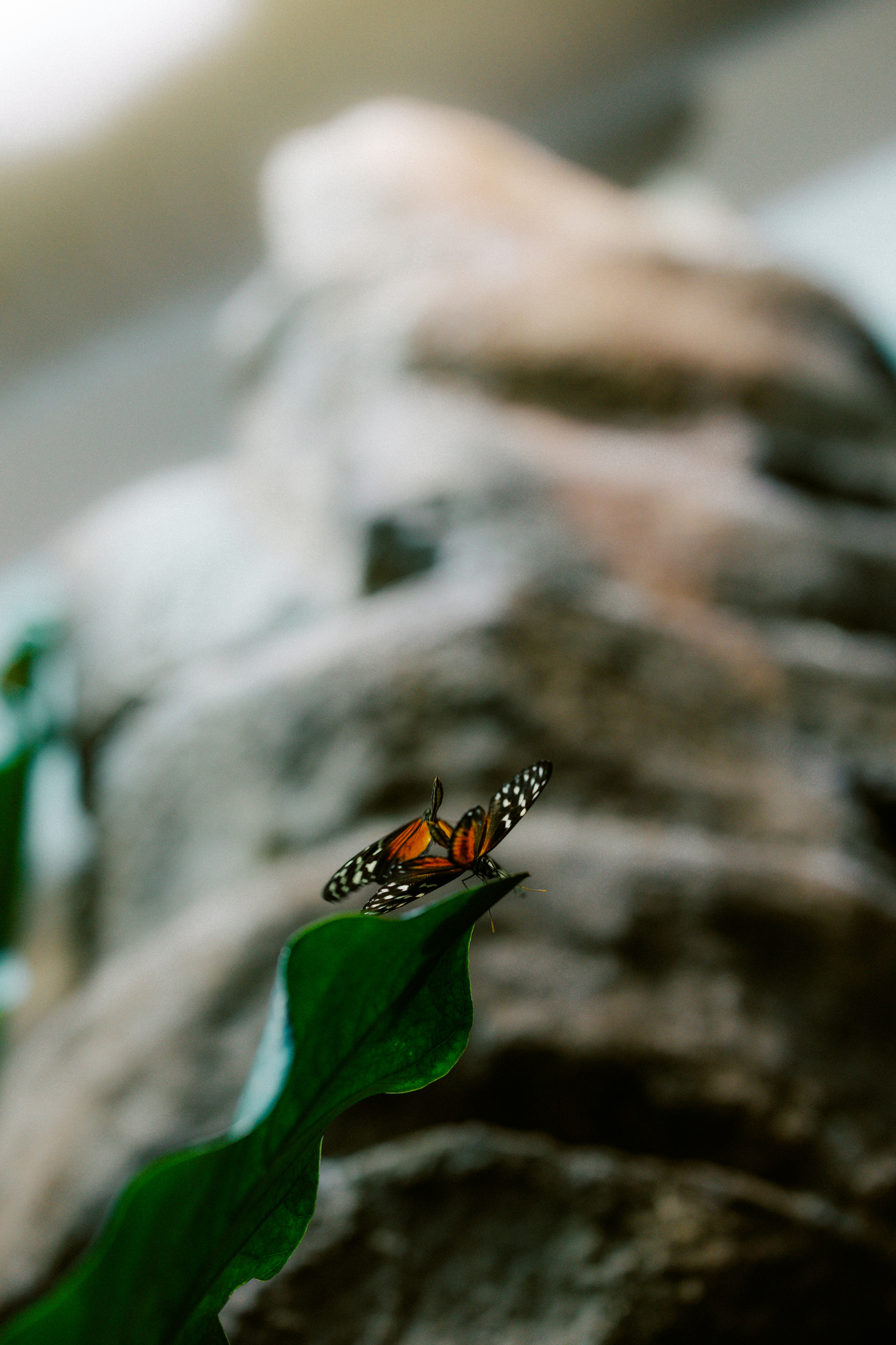 Photo by brookebalentine