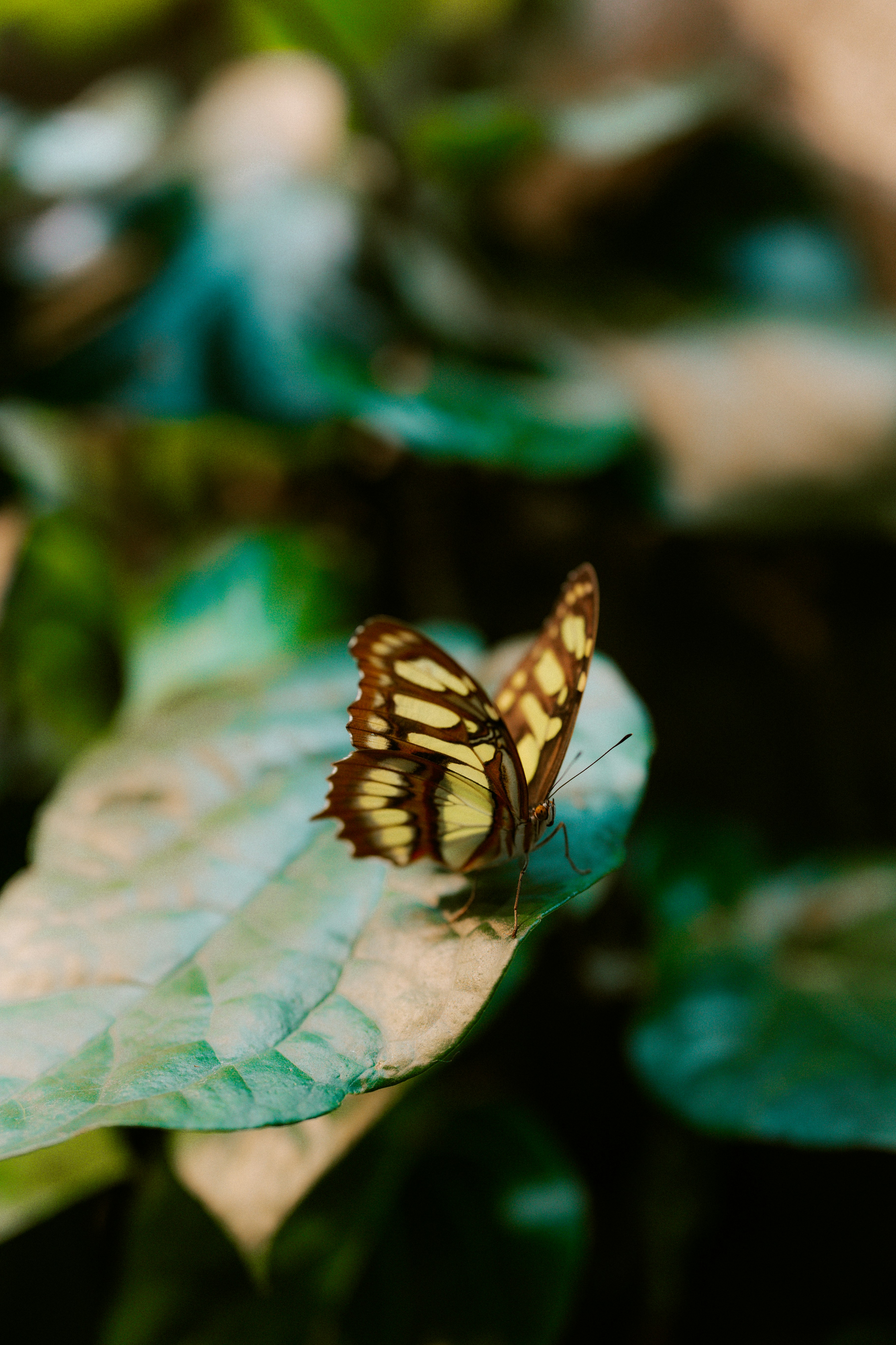 Photo by brookebalentine