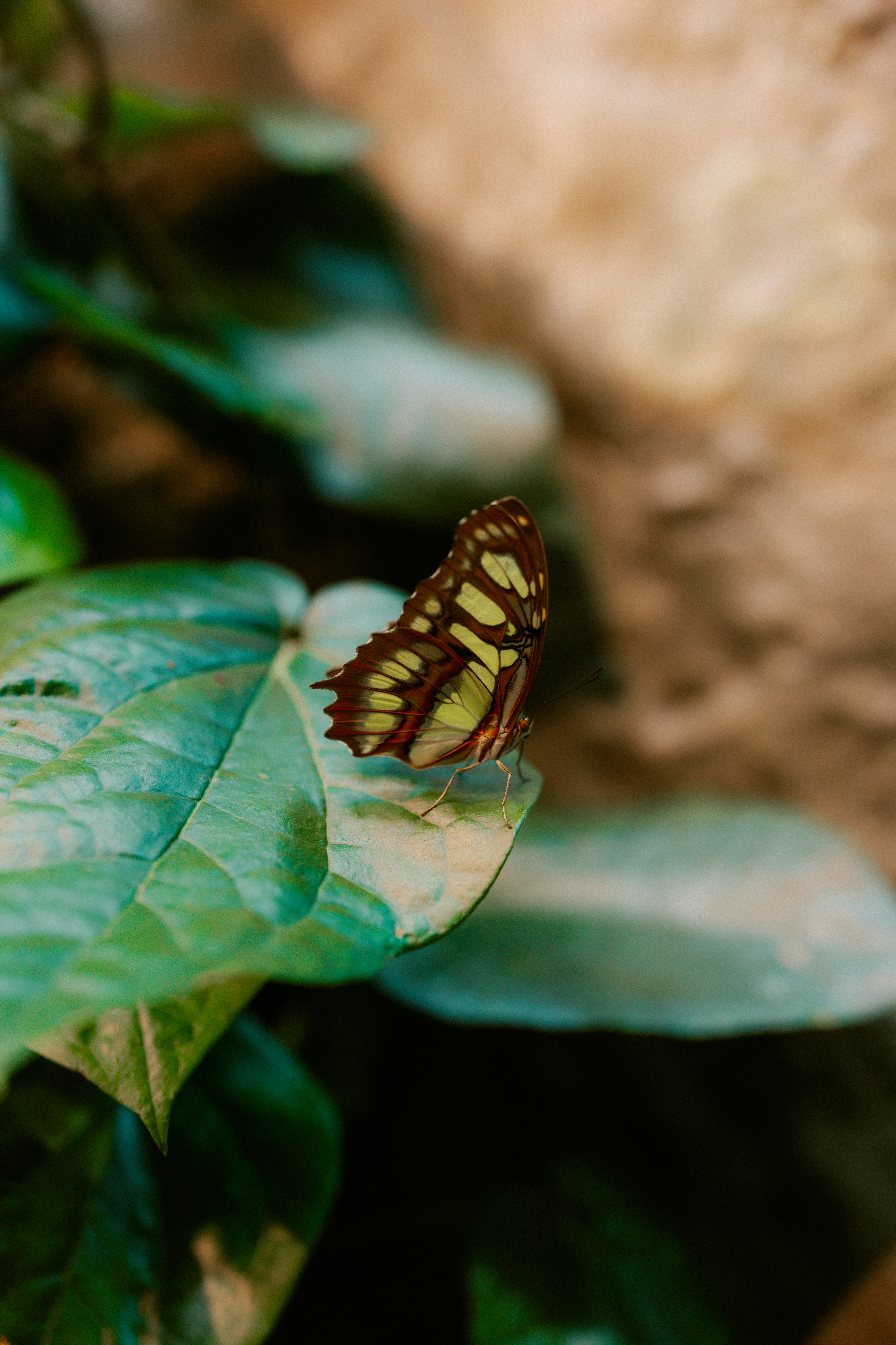 Photo by brookebalentine