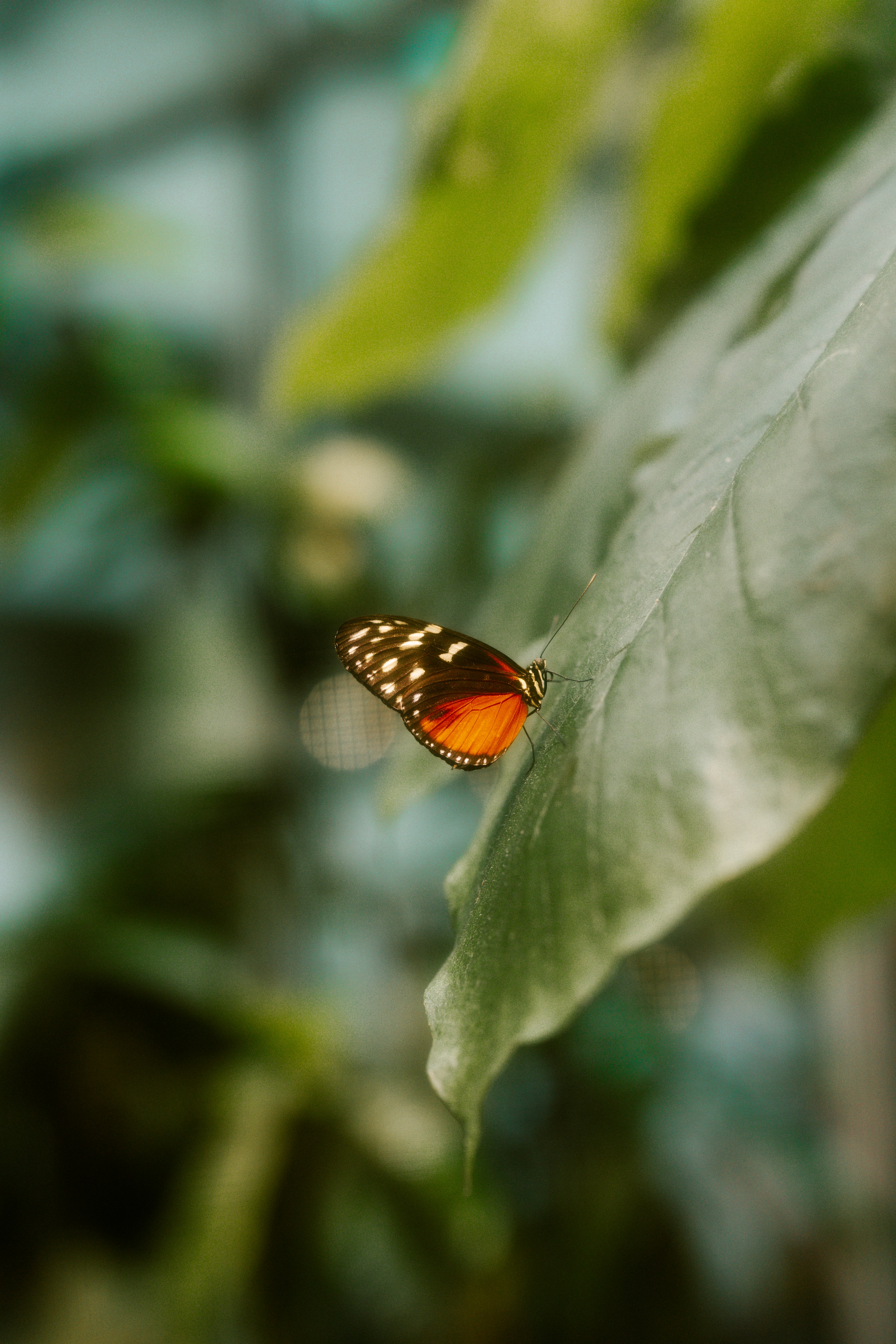 Photo by brookebalentine