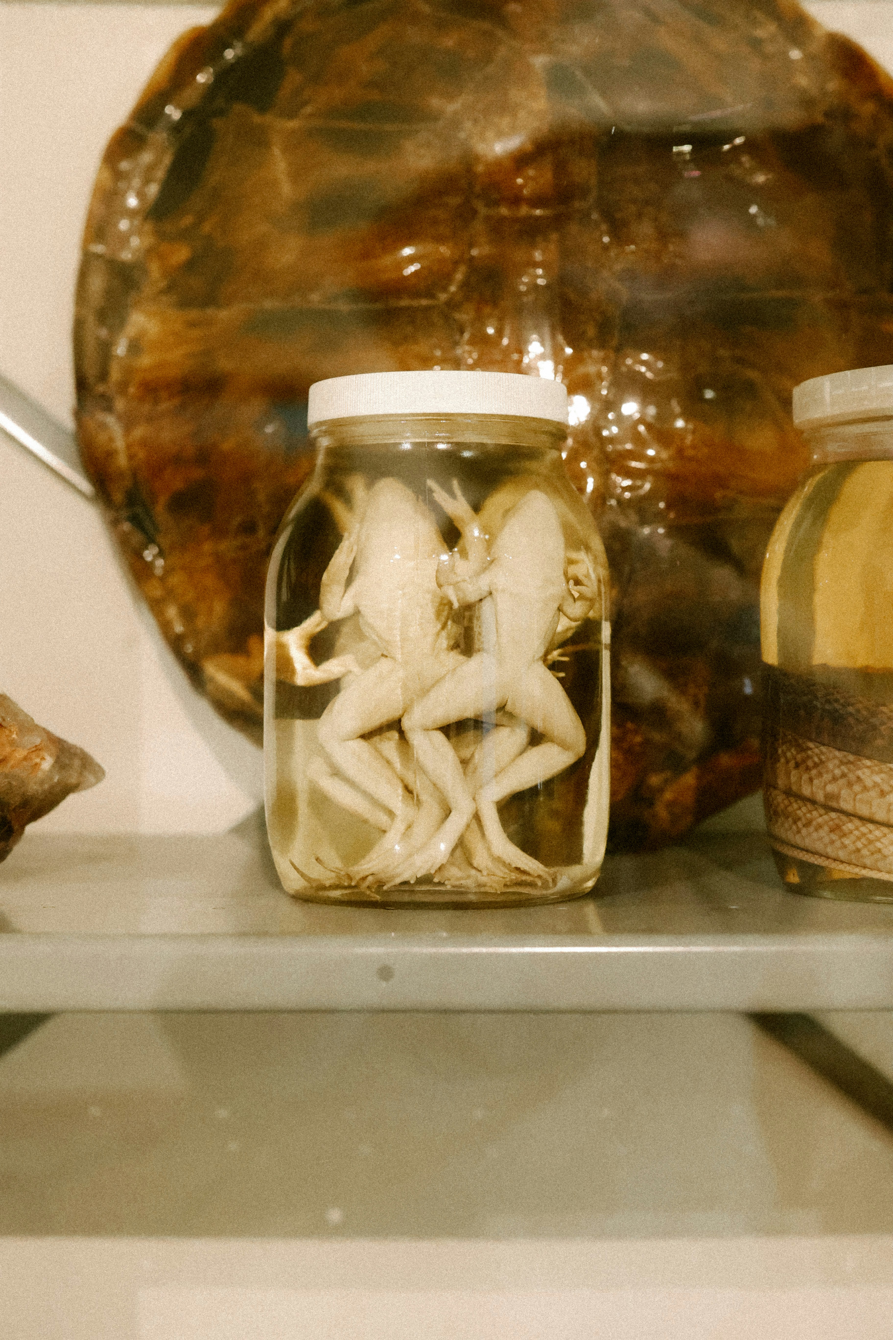 Photo by brookebalentine