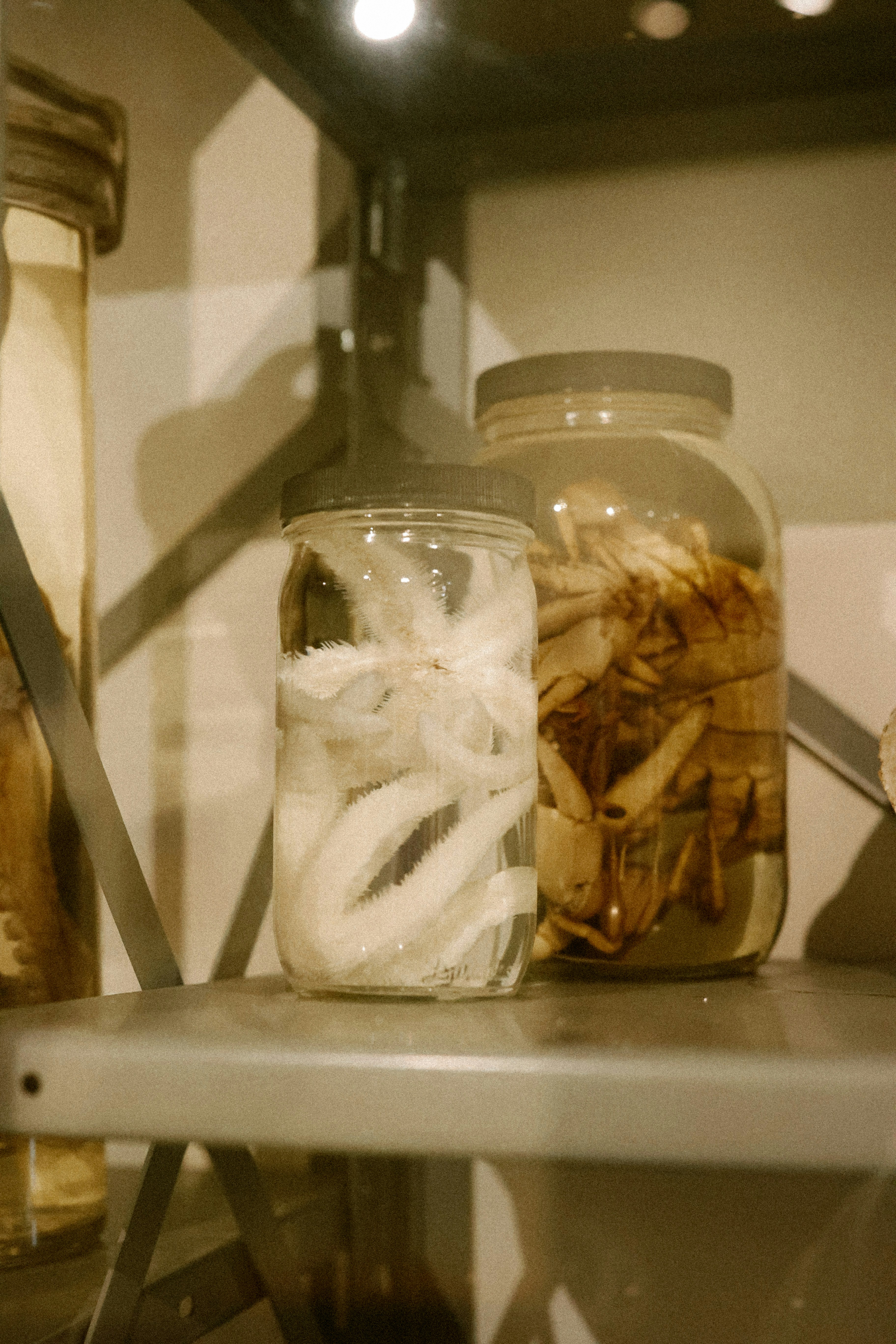 Photo by brookebalentine