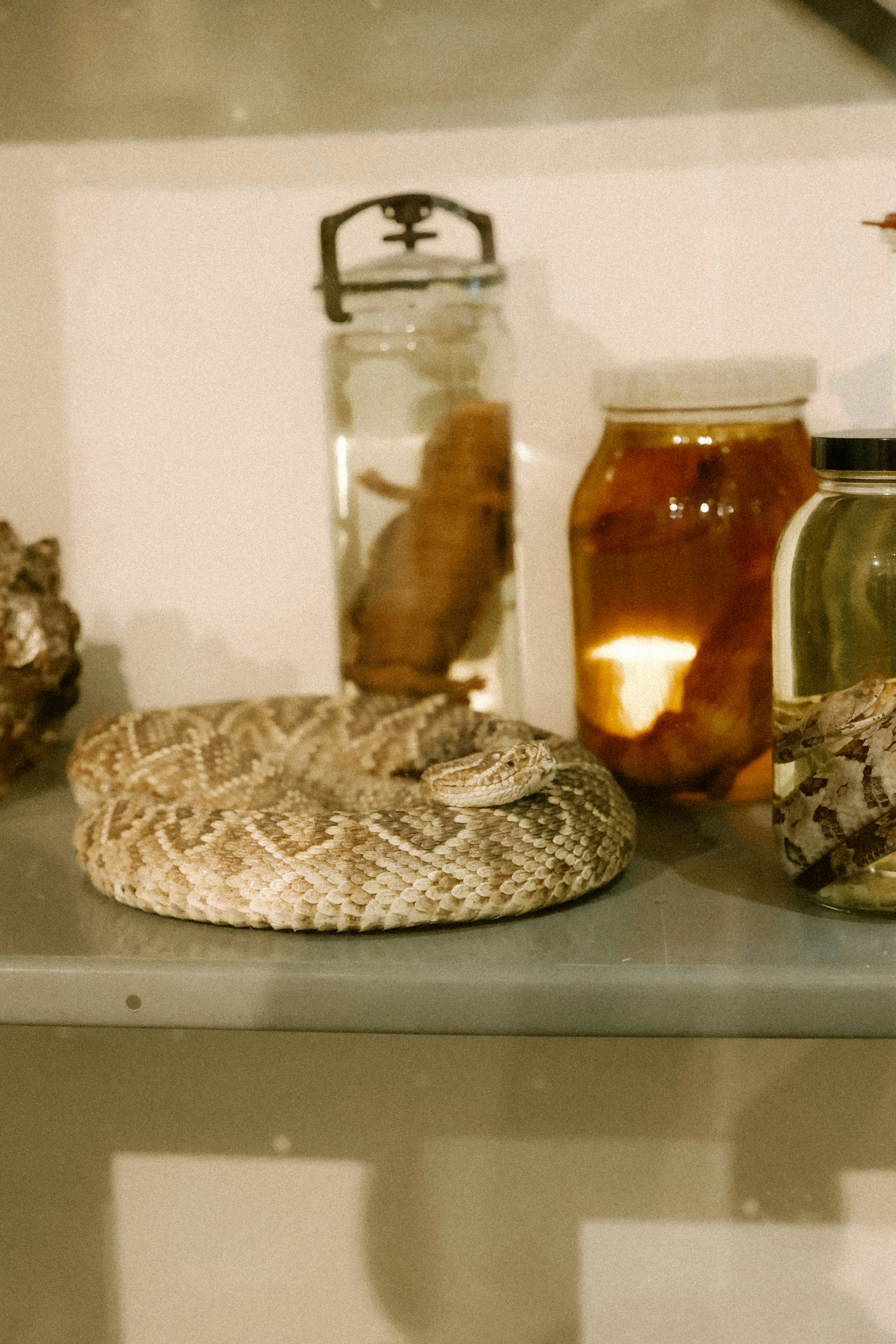 Photo by brookebalentine