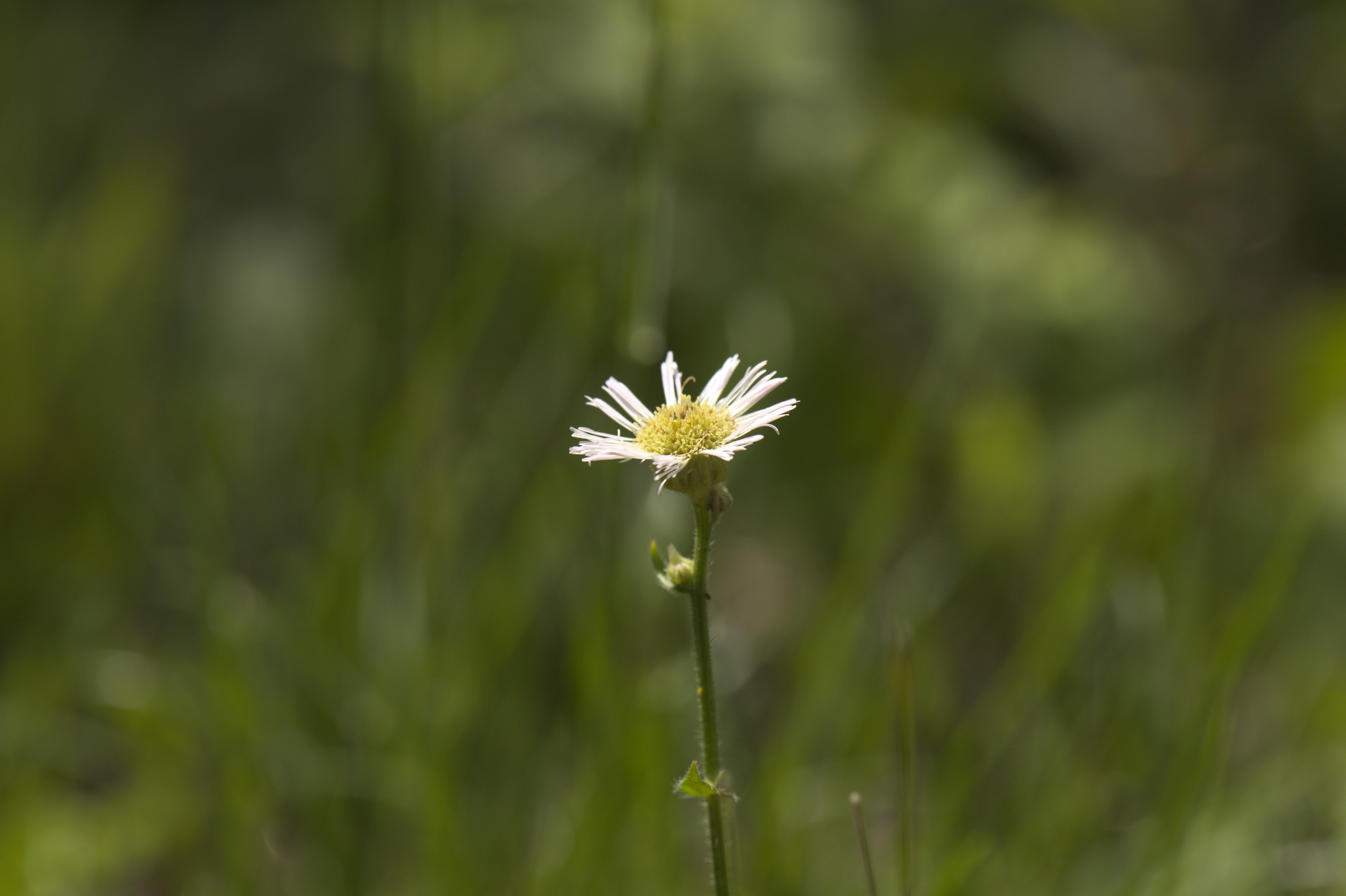 Photo by adrianswtam