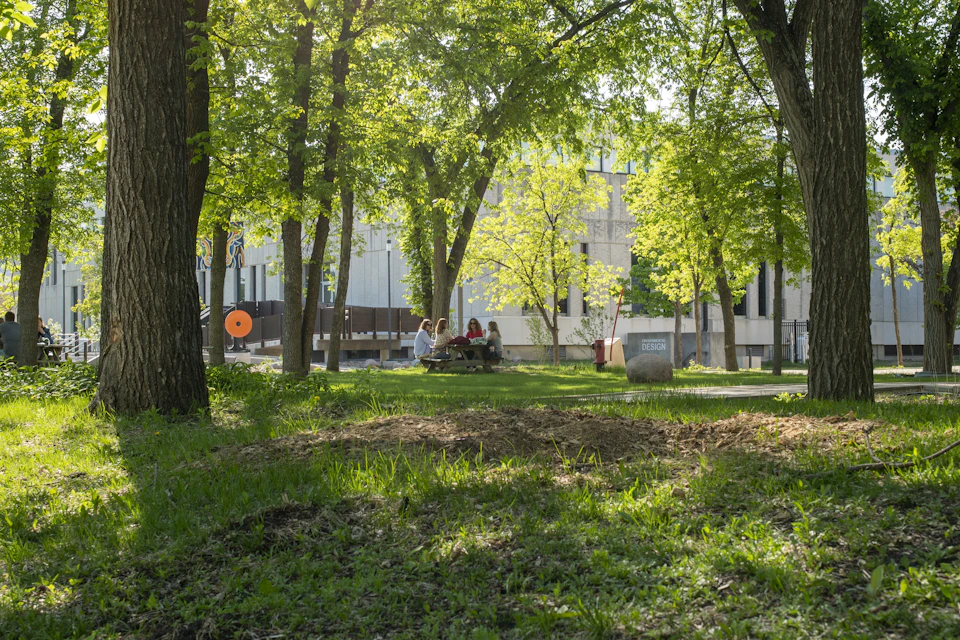 Two individuals sit on a bench under a tree, with one holding an orange frisbee