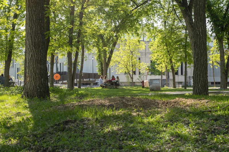 Sunny luxury gathering